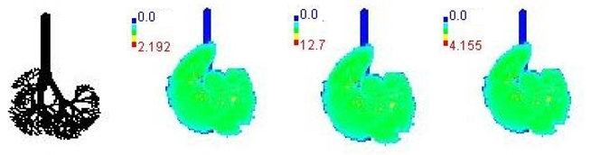 Ijerph 19 15387 i003