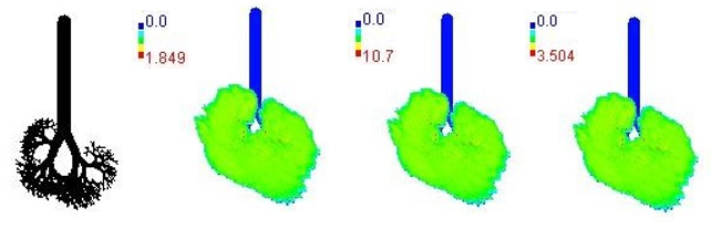 Ijerph 19 15387 i006