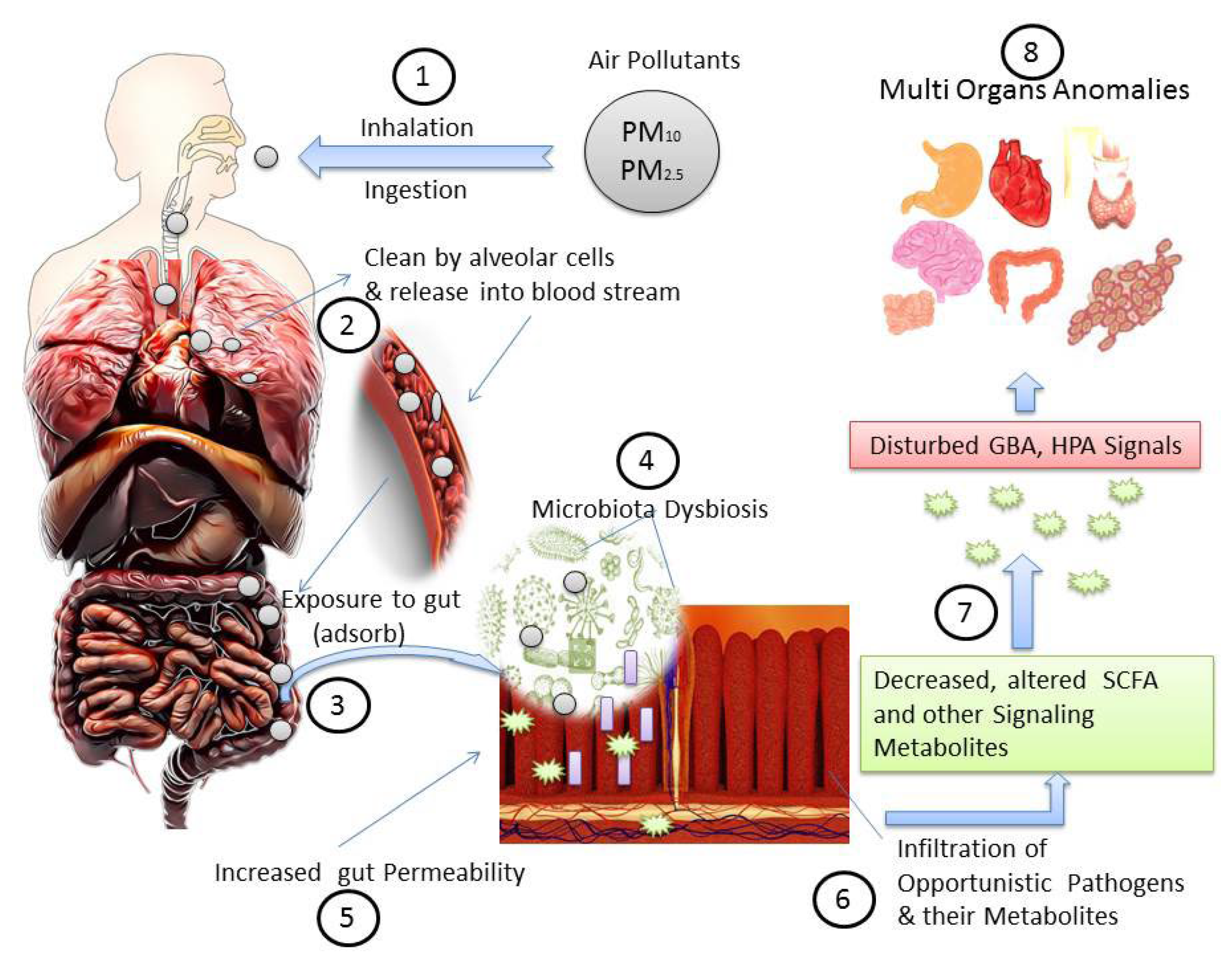 Ijerph 19 15494 g002