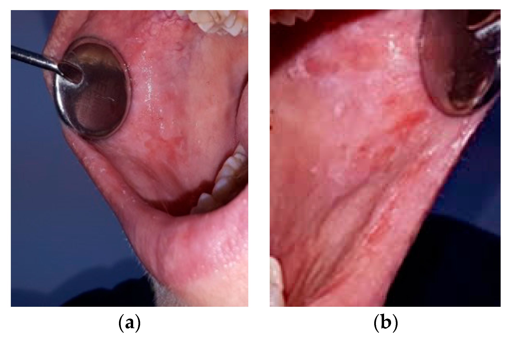 Ijerph 19 15564 g002 Ijerph 19 15564 g002