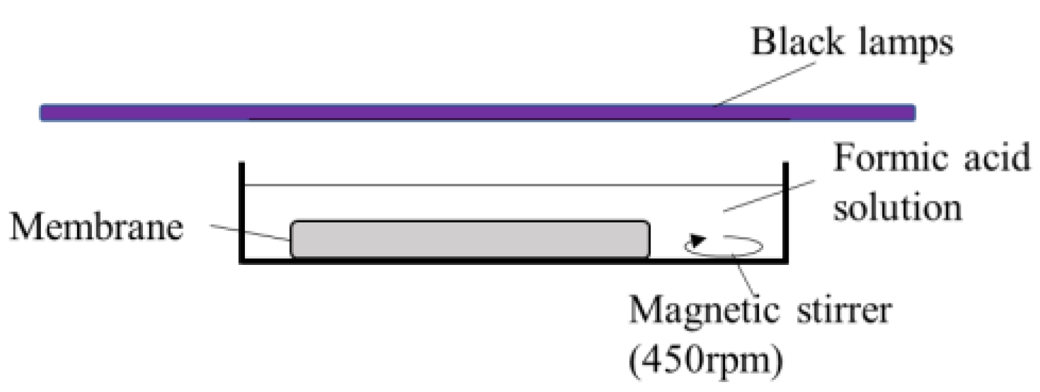 Ijerph 19 15736 g001 Ijerph 19 15736 g001