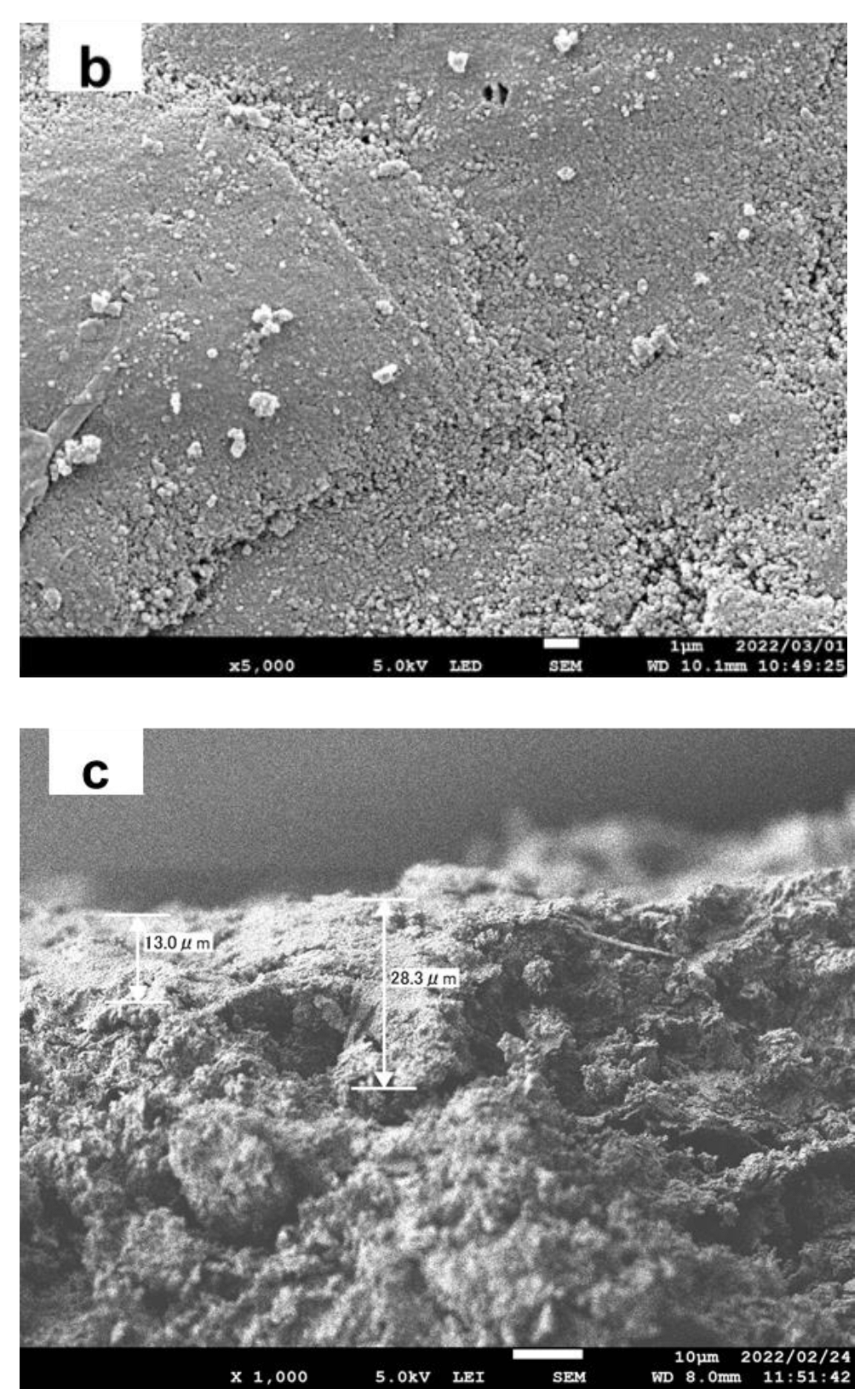 Ijerph 19 15736 g002b Ijerph 19 15736 g002b