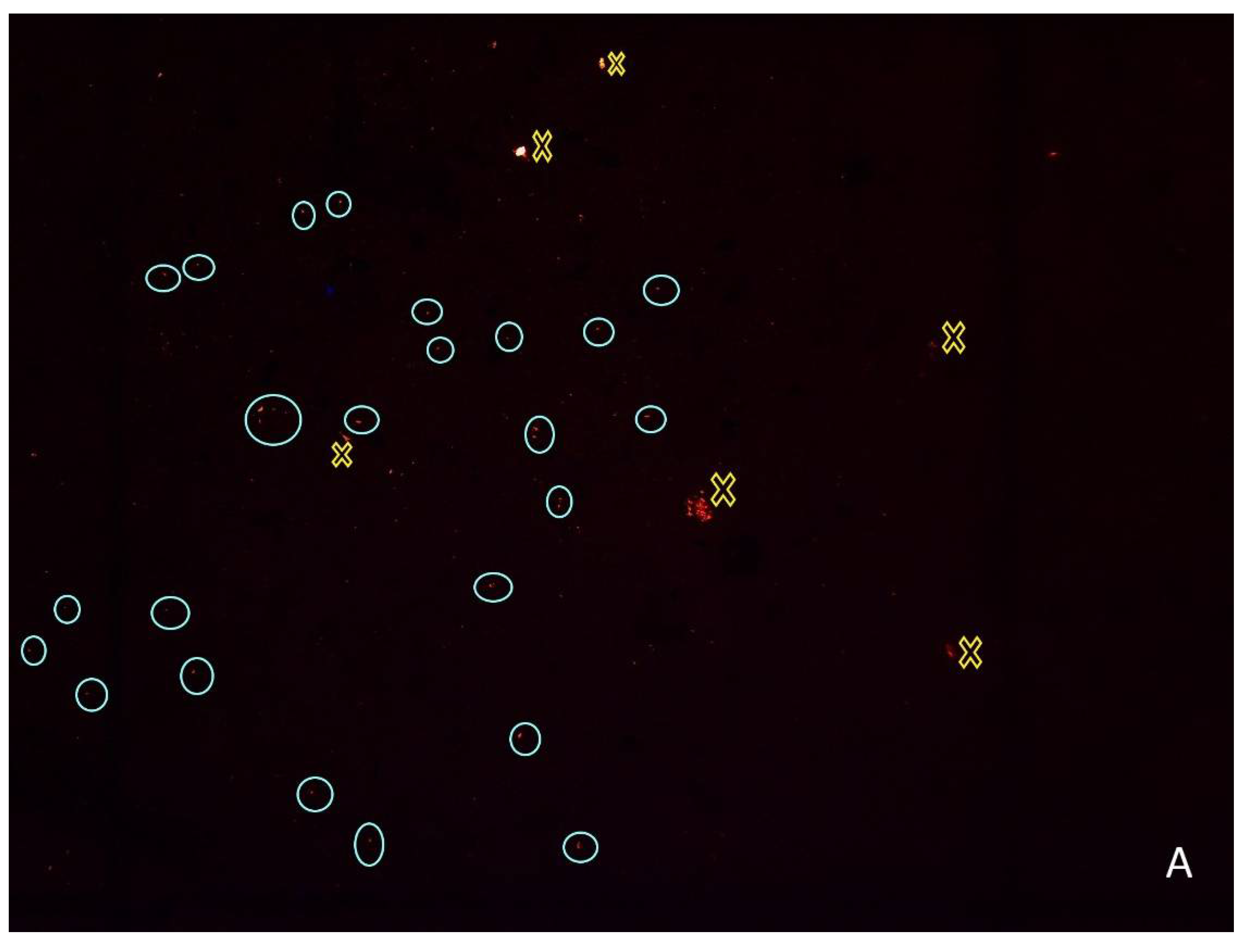 Ijerph 19 15956 g003a Ijerph 19 15956 g003a