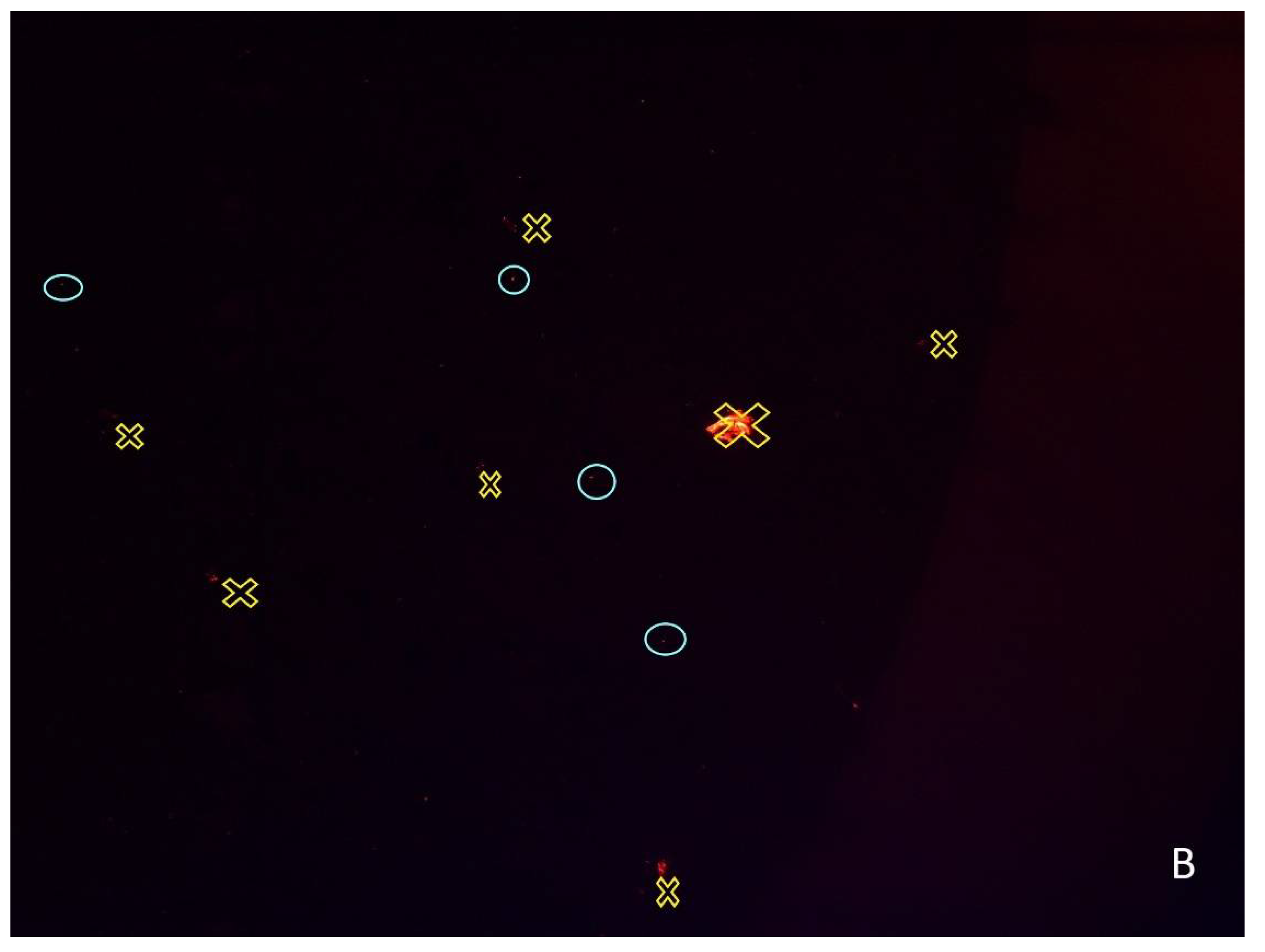 Ijerph 19 15956 g003b Ijerph 19 15956 g003b