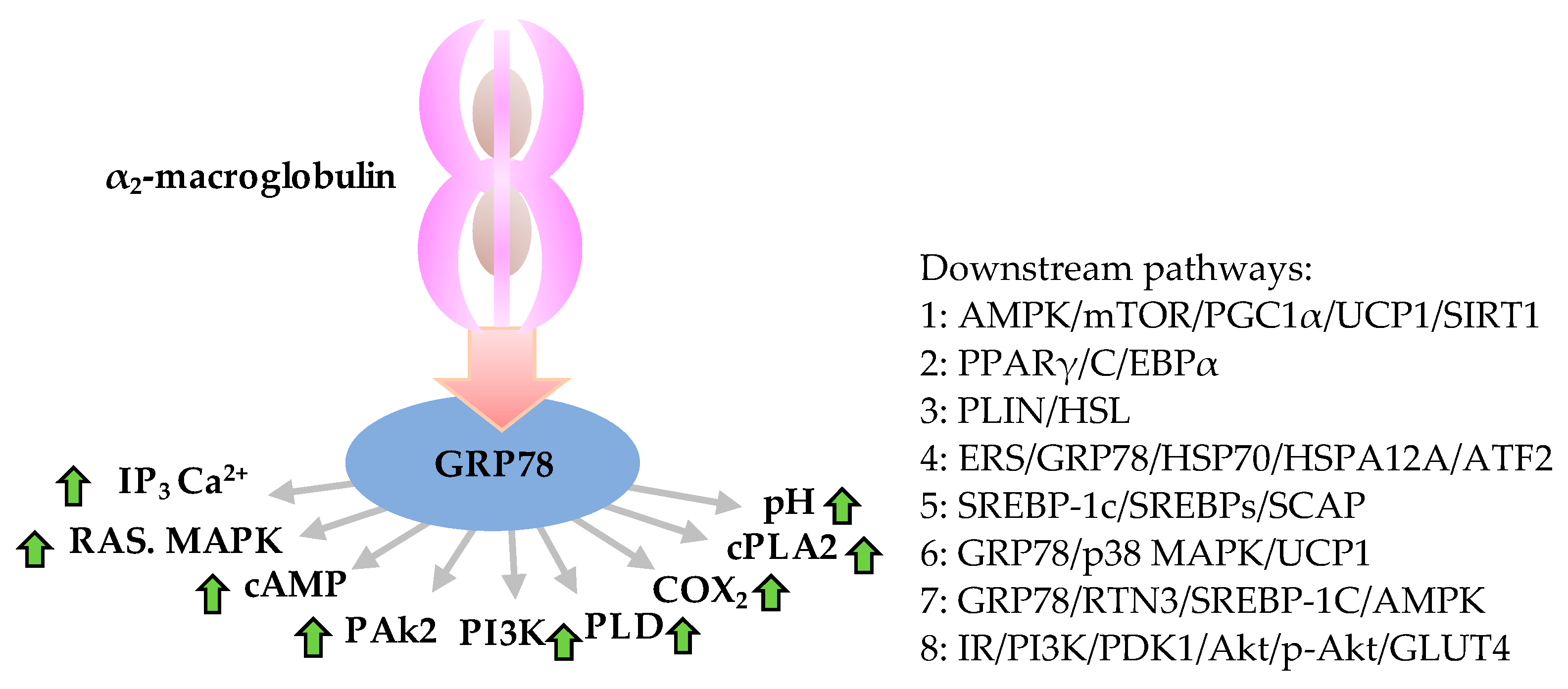 Ijerph 19 15965 g001