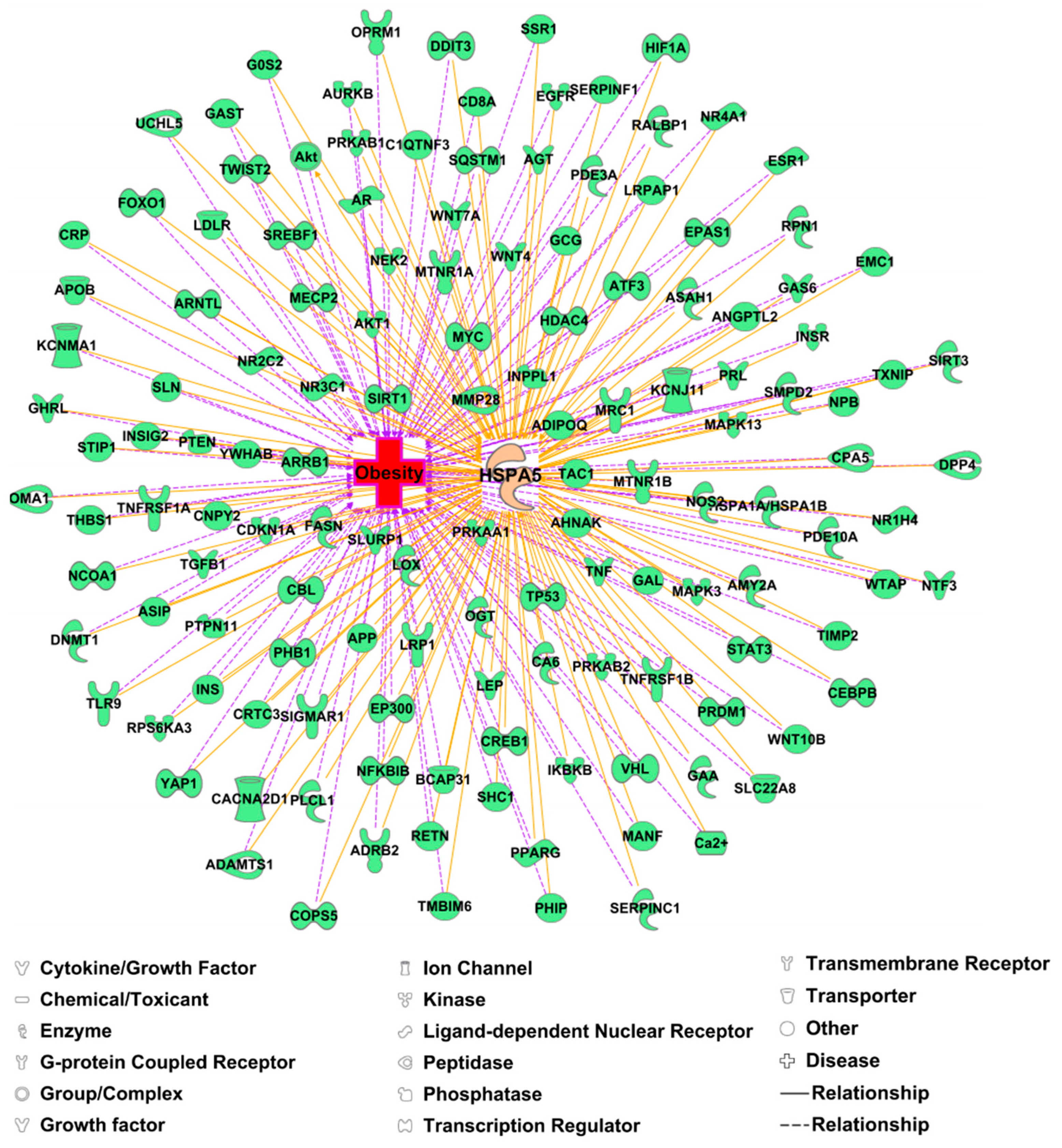 Ijerph 19 15965 g002