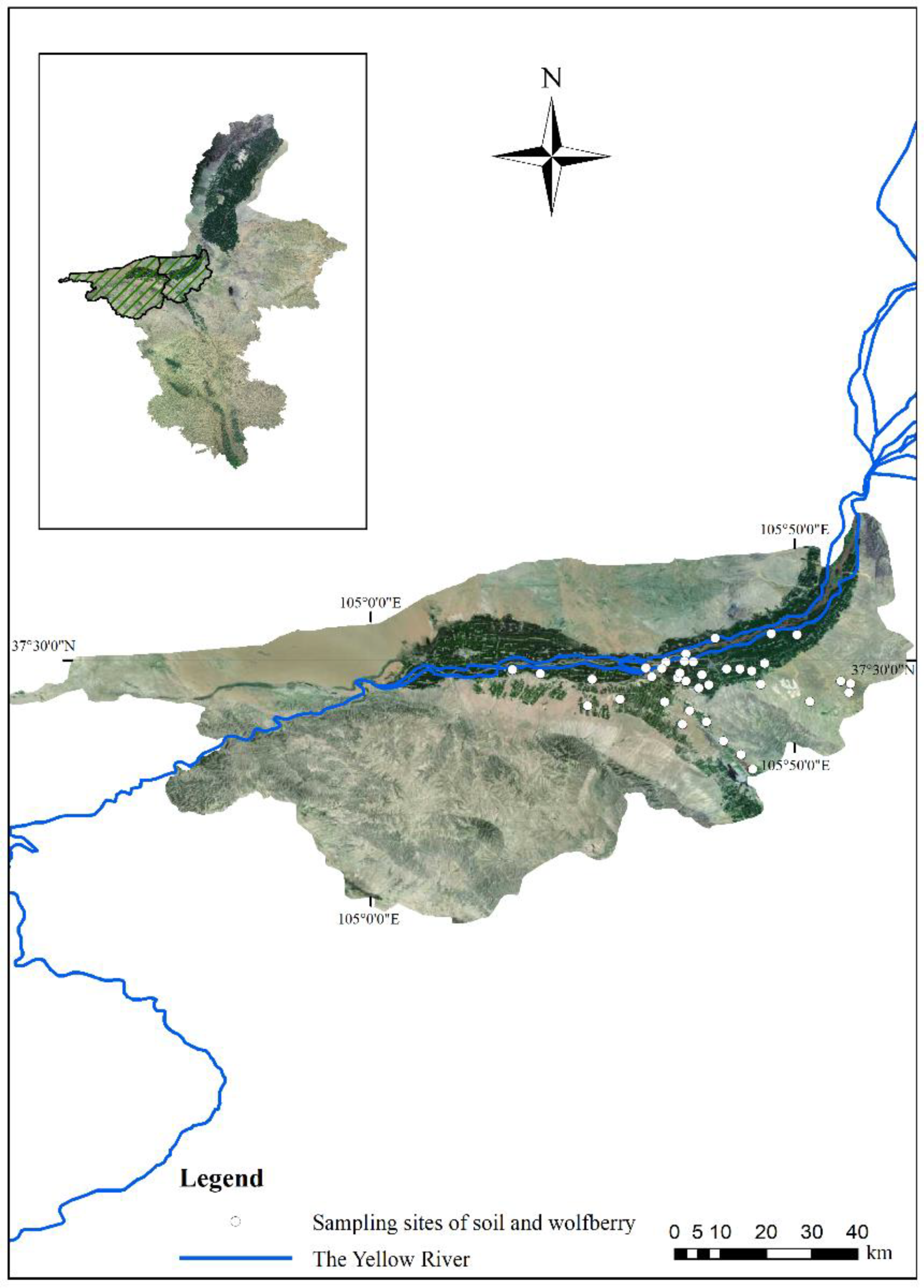 Ijerph 19 16186 g001 Ijerph 19 16186 g001