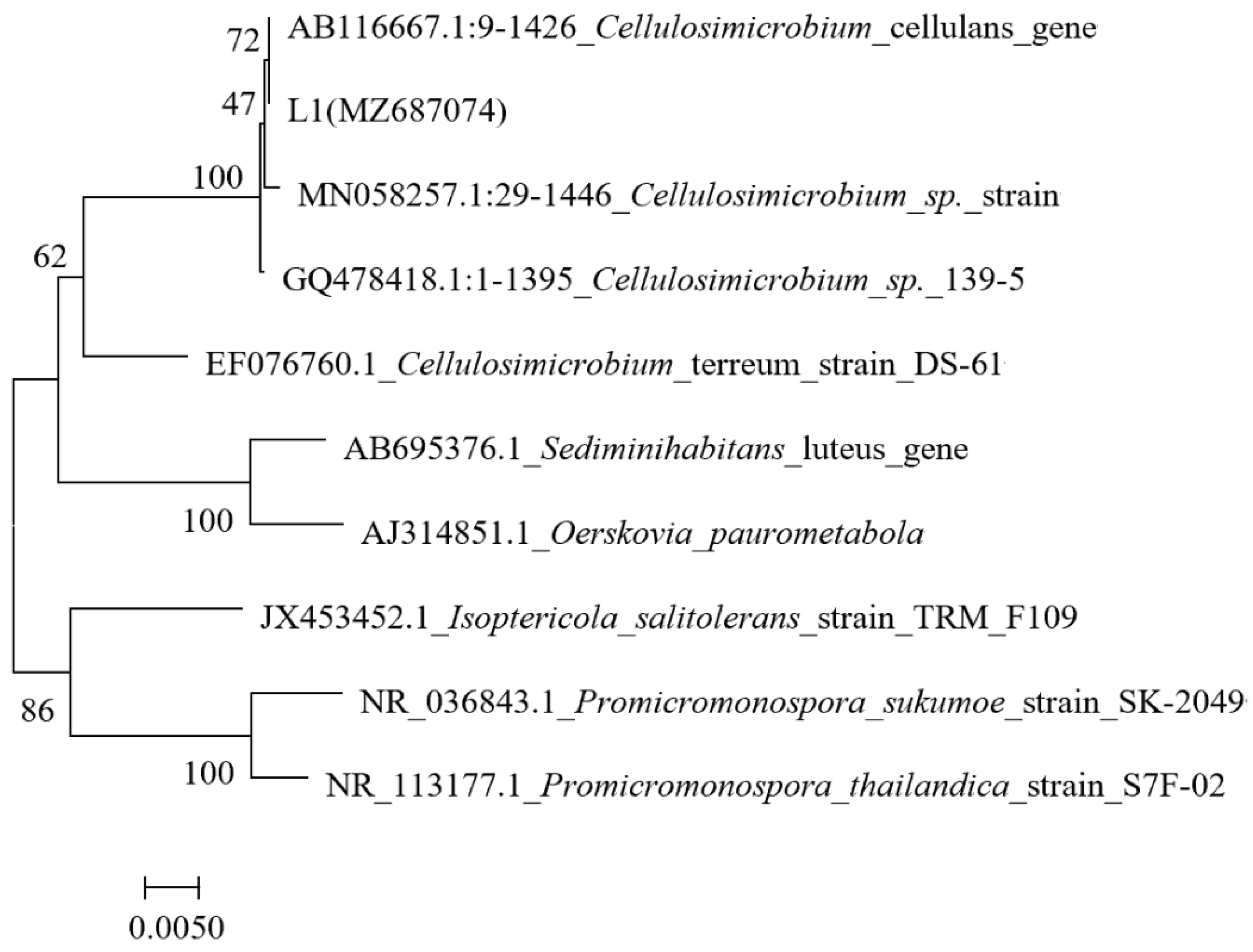 Ijerph 19 16368 g002