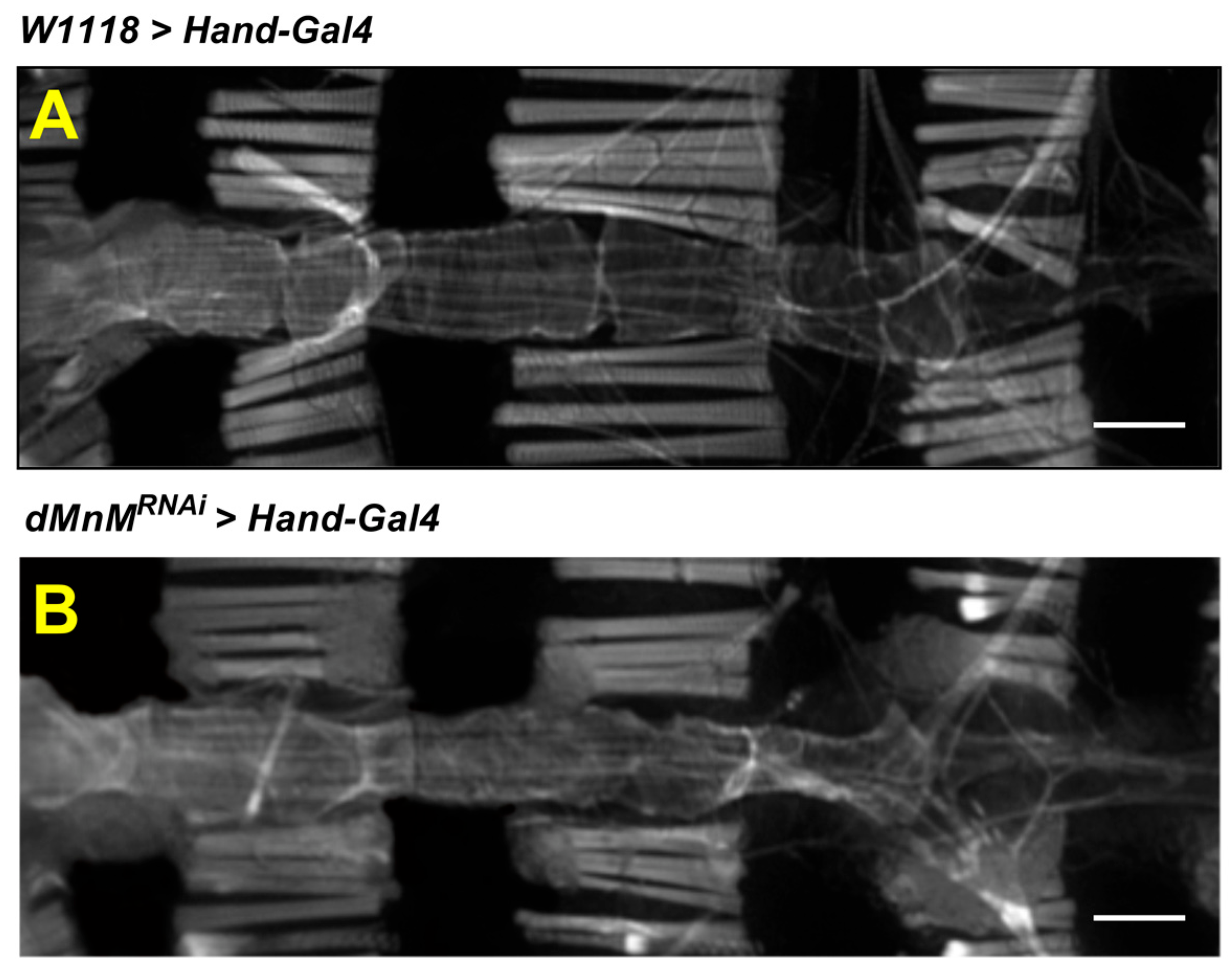 Ijerph 19 16554 g002
