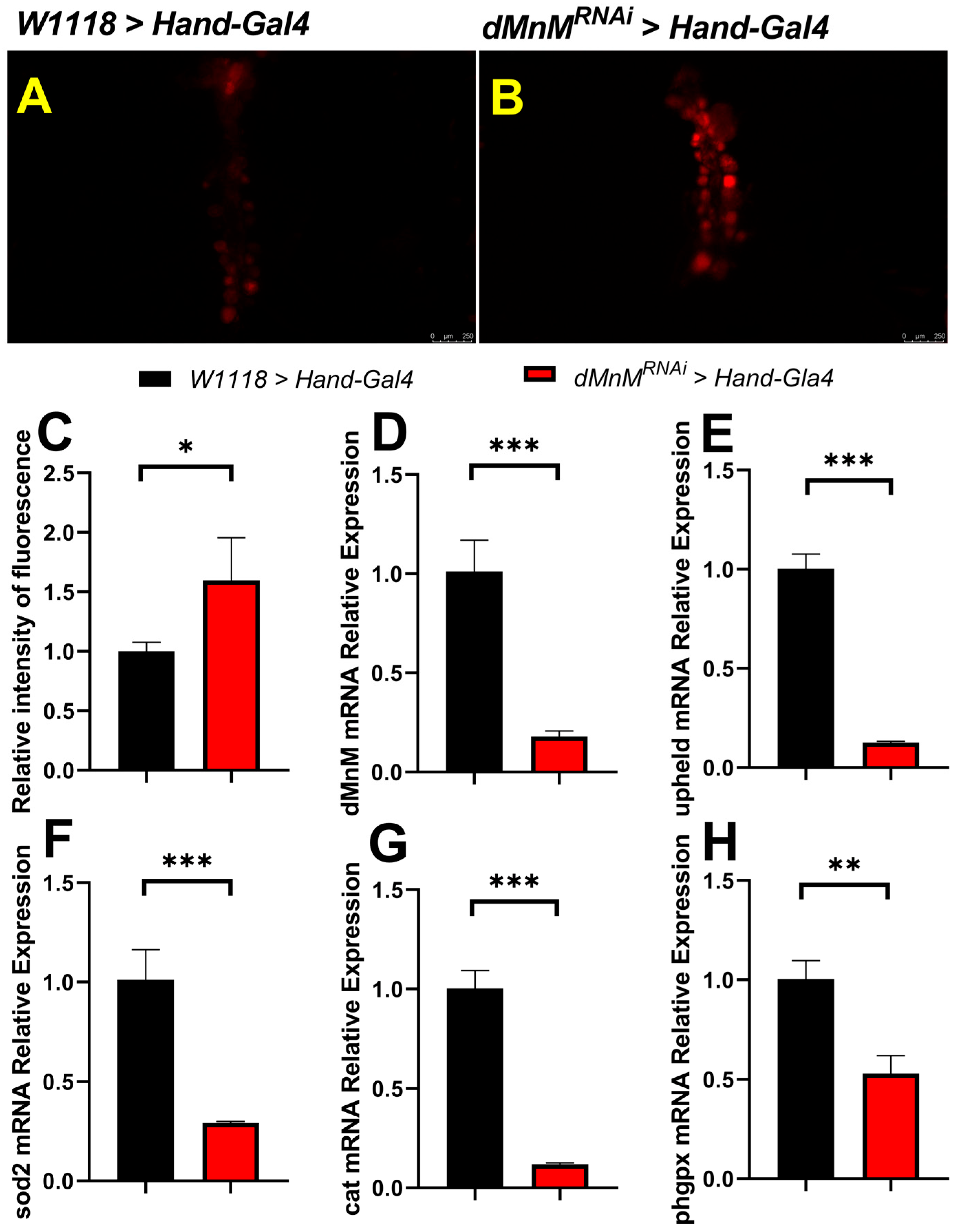 Ijerph 19 16554 g003