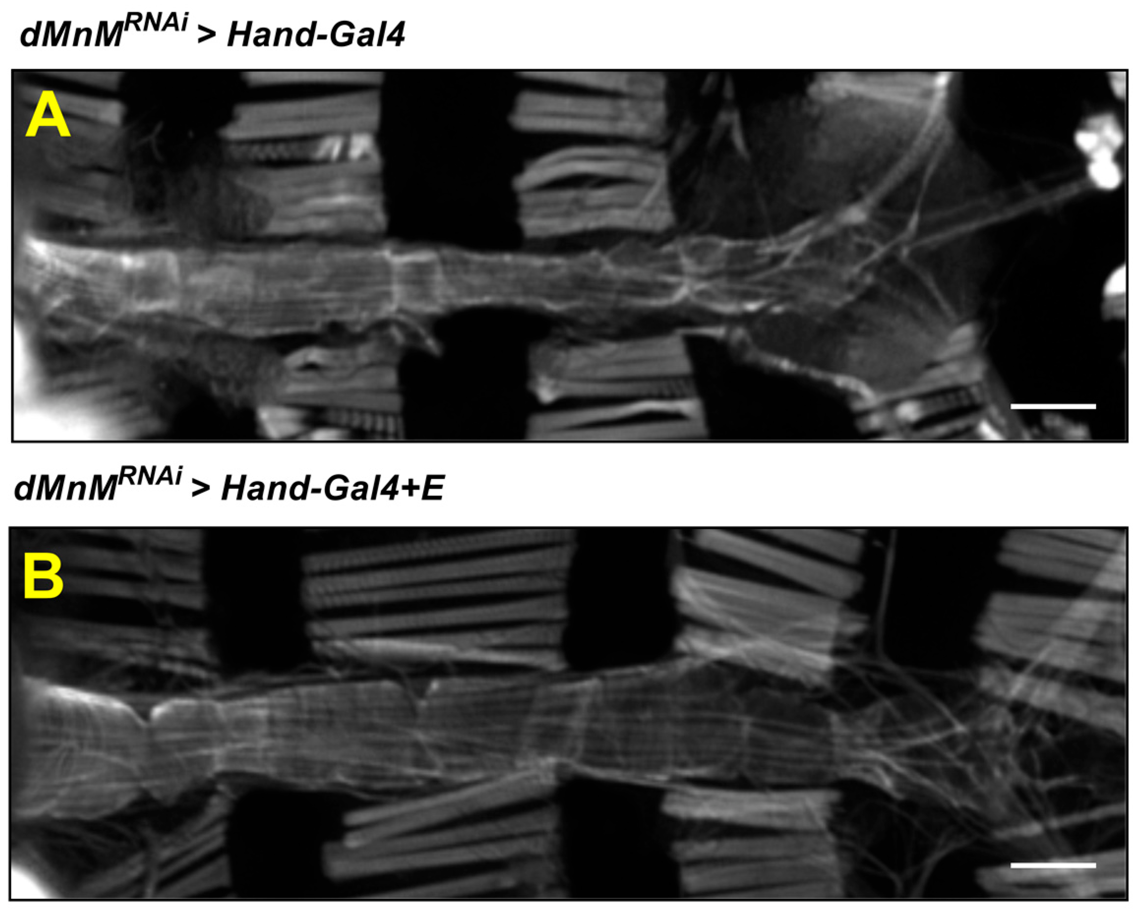 Ijerph 19 16554 g006