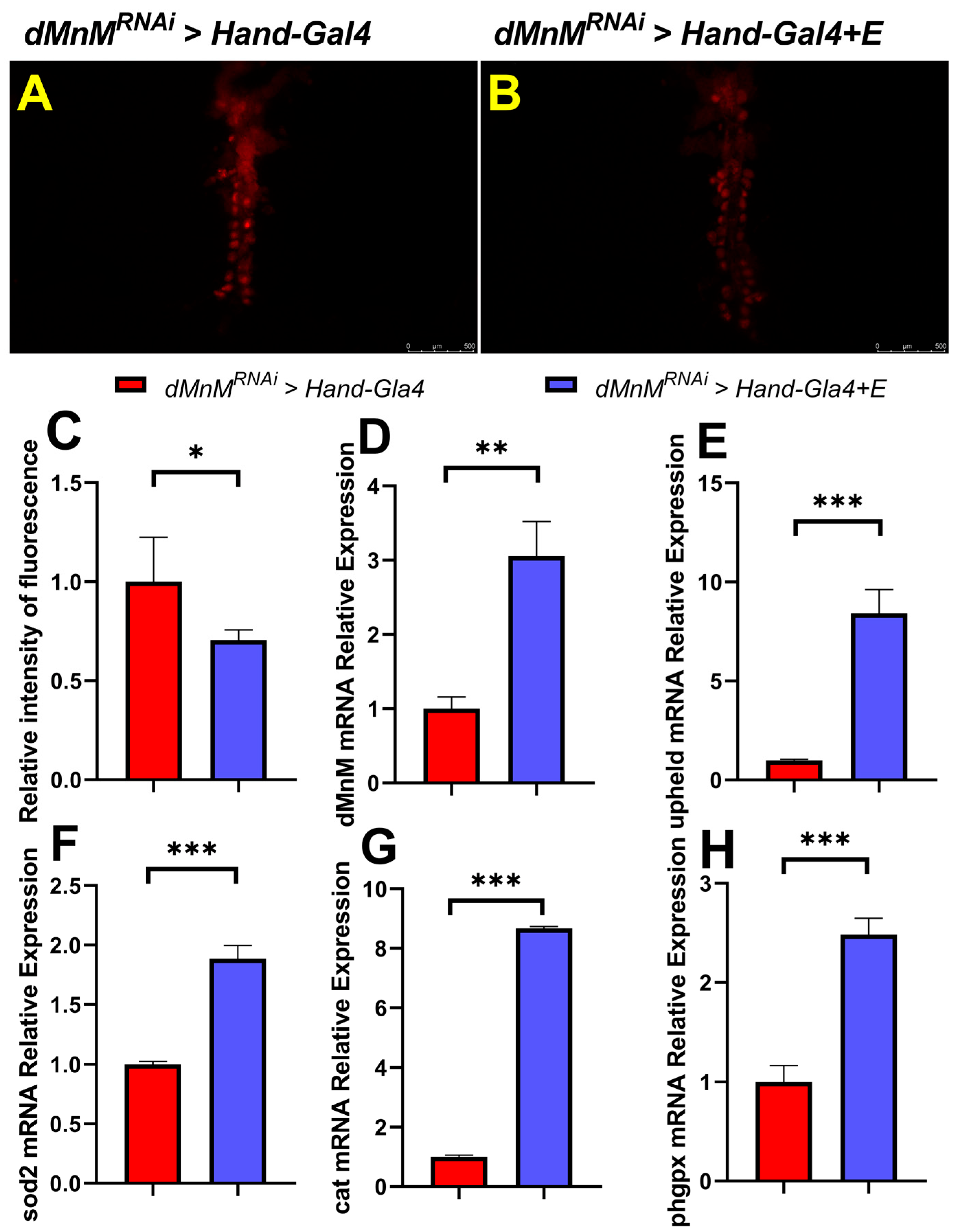Ijerph 19 16554 g007