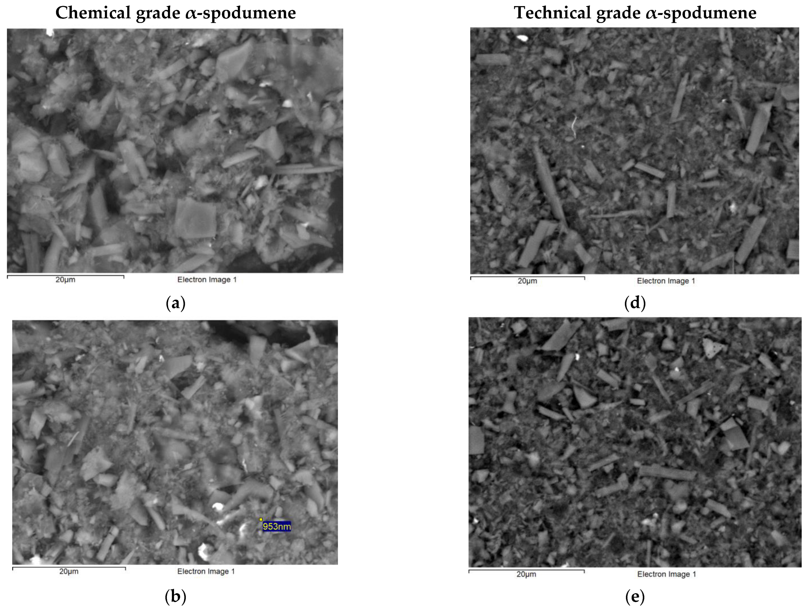 Ijerph 19 16649 g002a Ijerph 19 16649 g002a