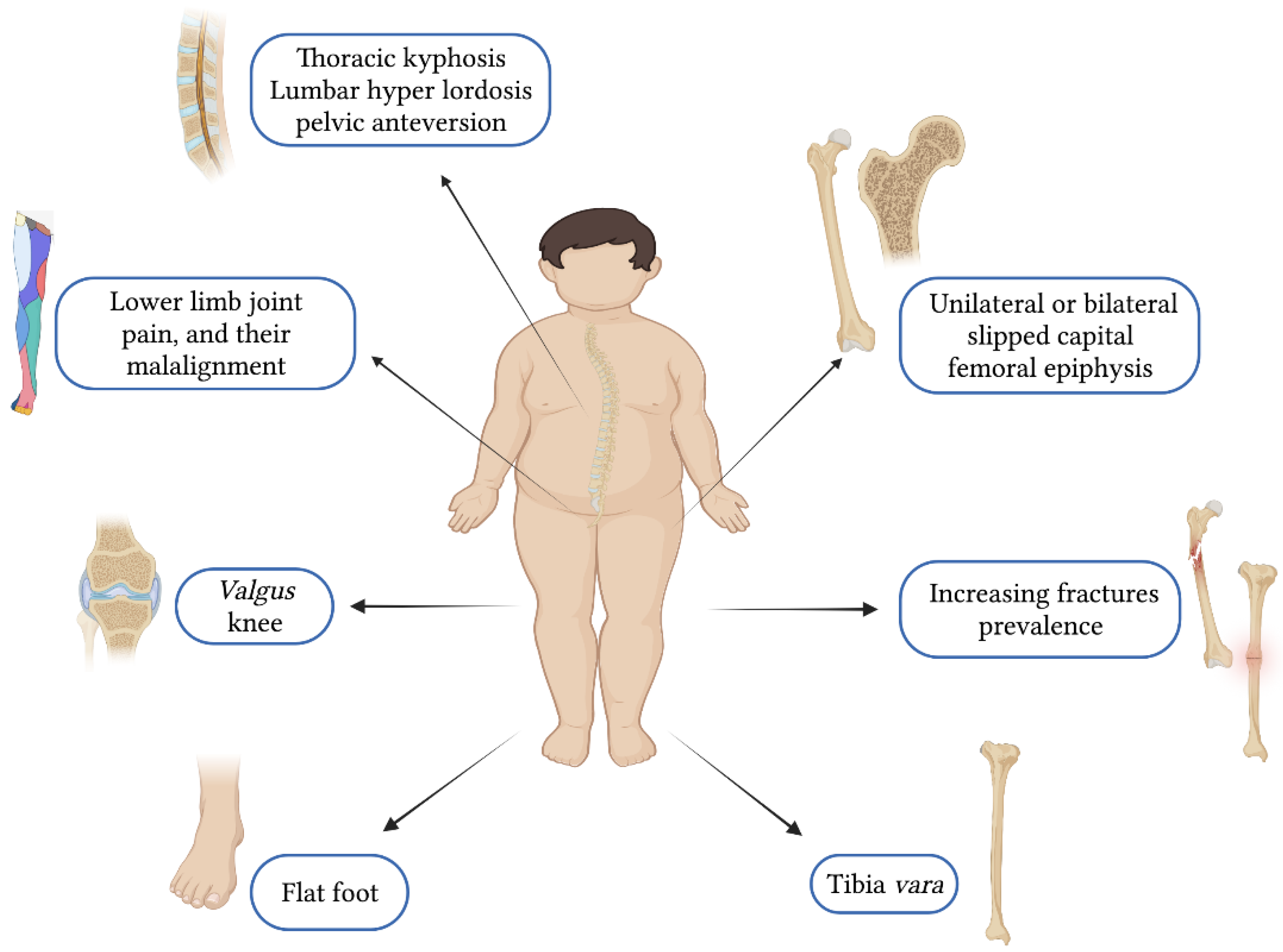 Ijerph 19 16728 g002 Ijerph 19 16728 g002