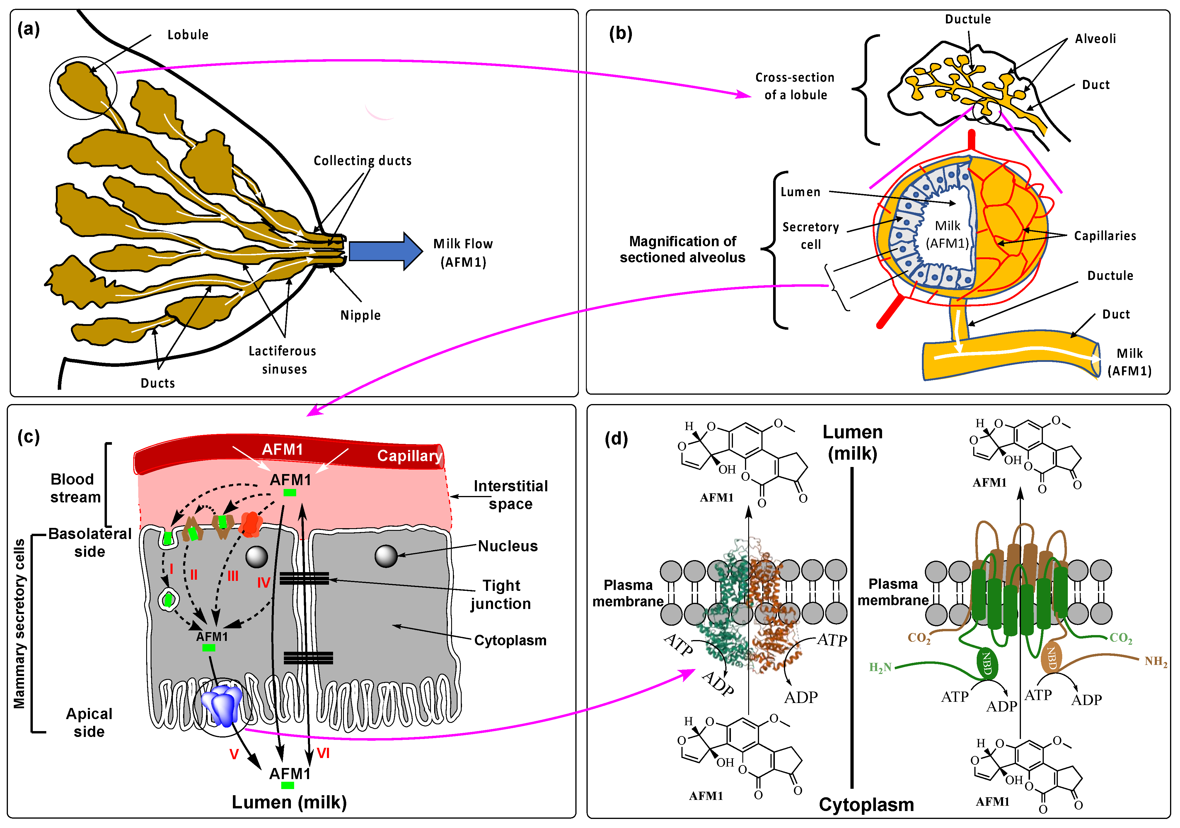 Ijerph 19 16792 g002