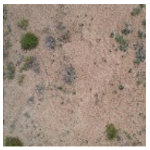 Ijerph 19 16793 i002