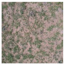 Ijerph 19 16793 i003