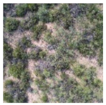 Ijerph 19 16793 i004