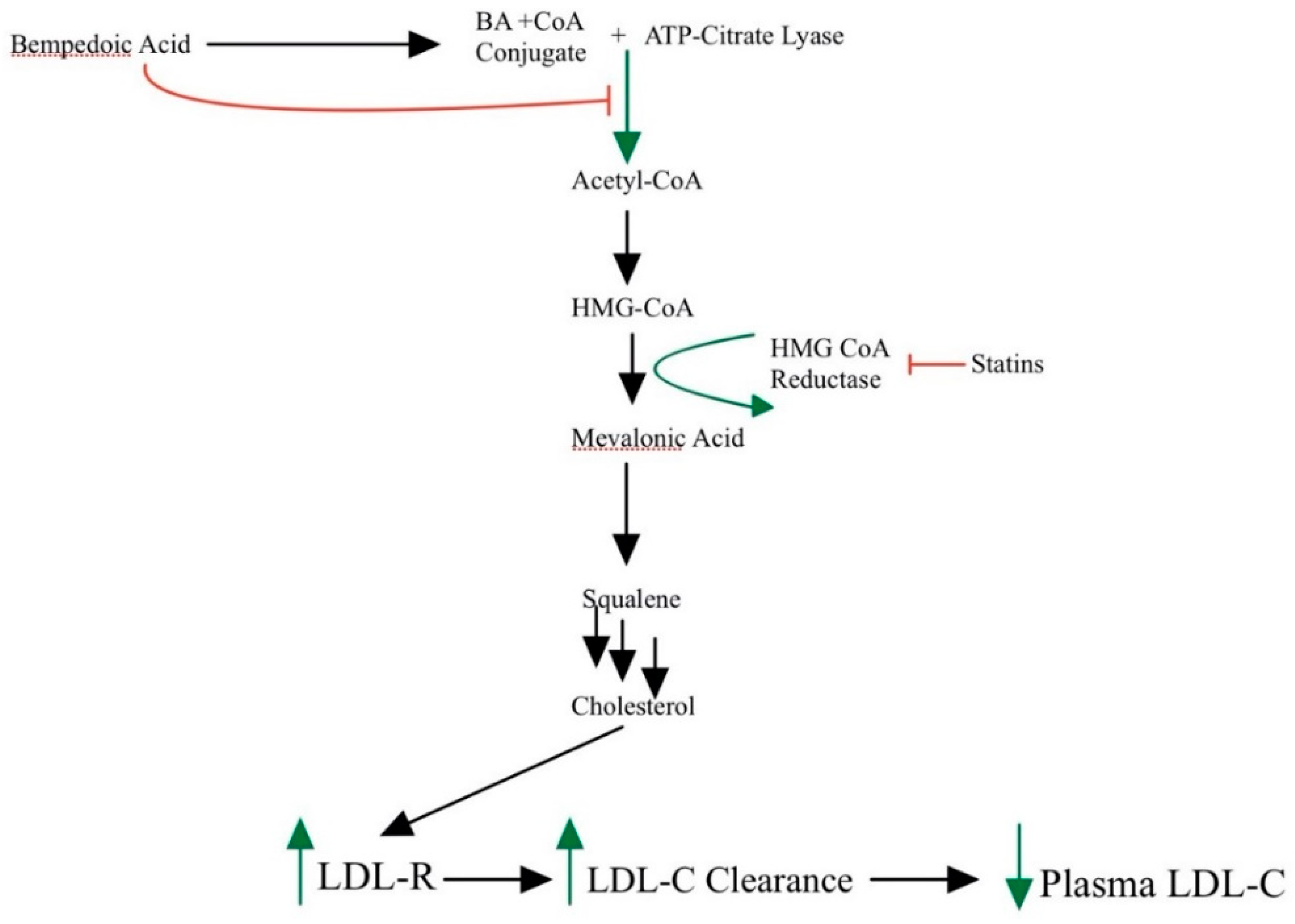 Ijerph 19 16899 g001