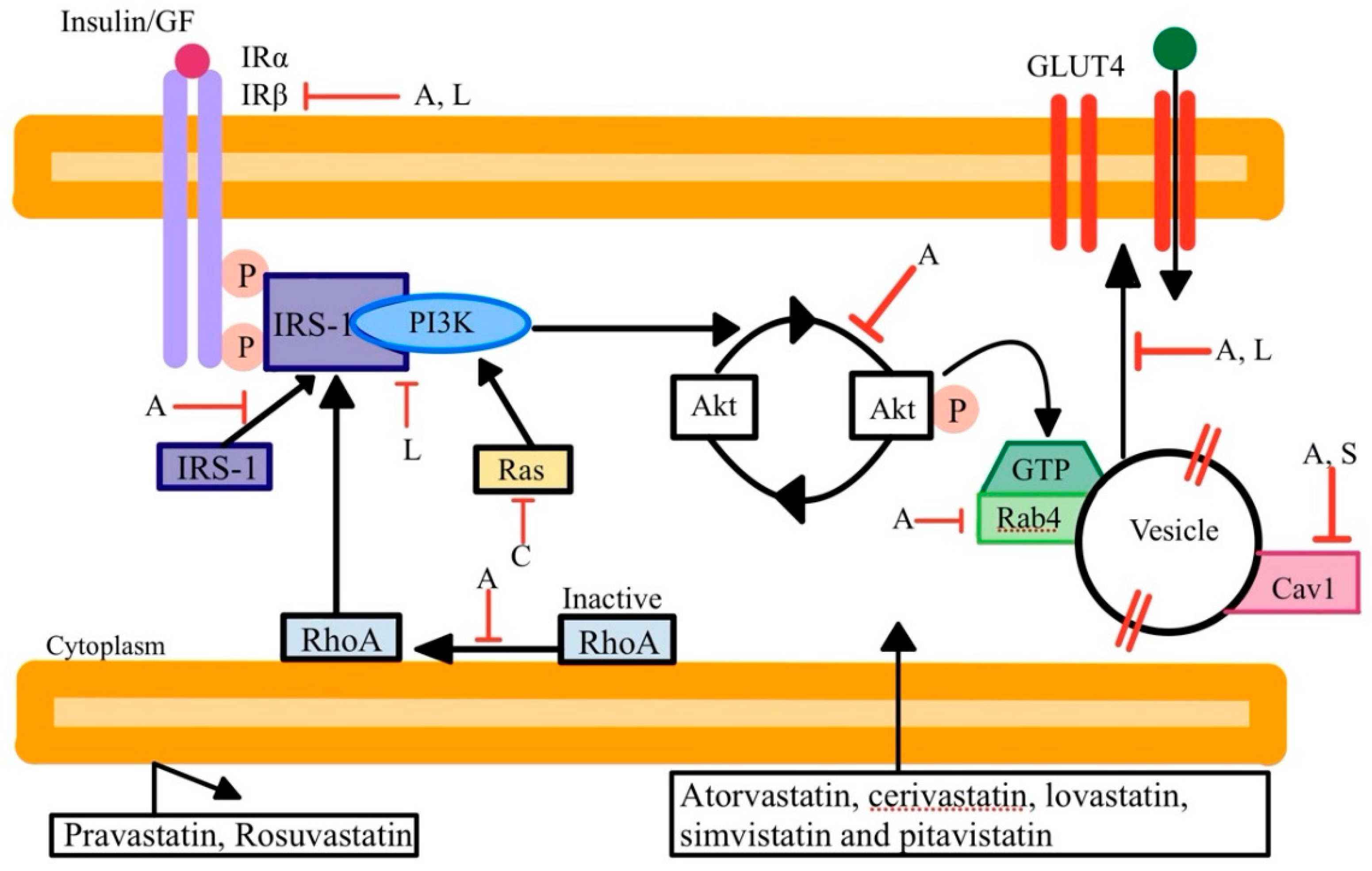 Ijerph 19 16899 g004