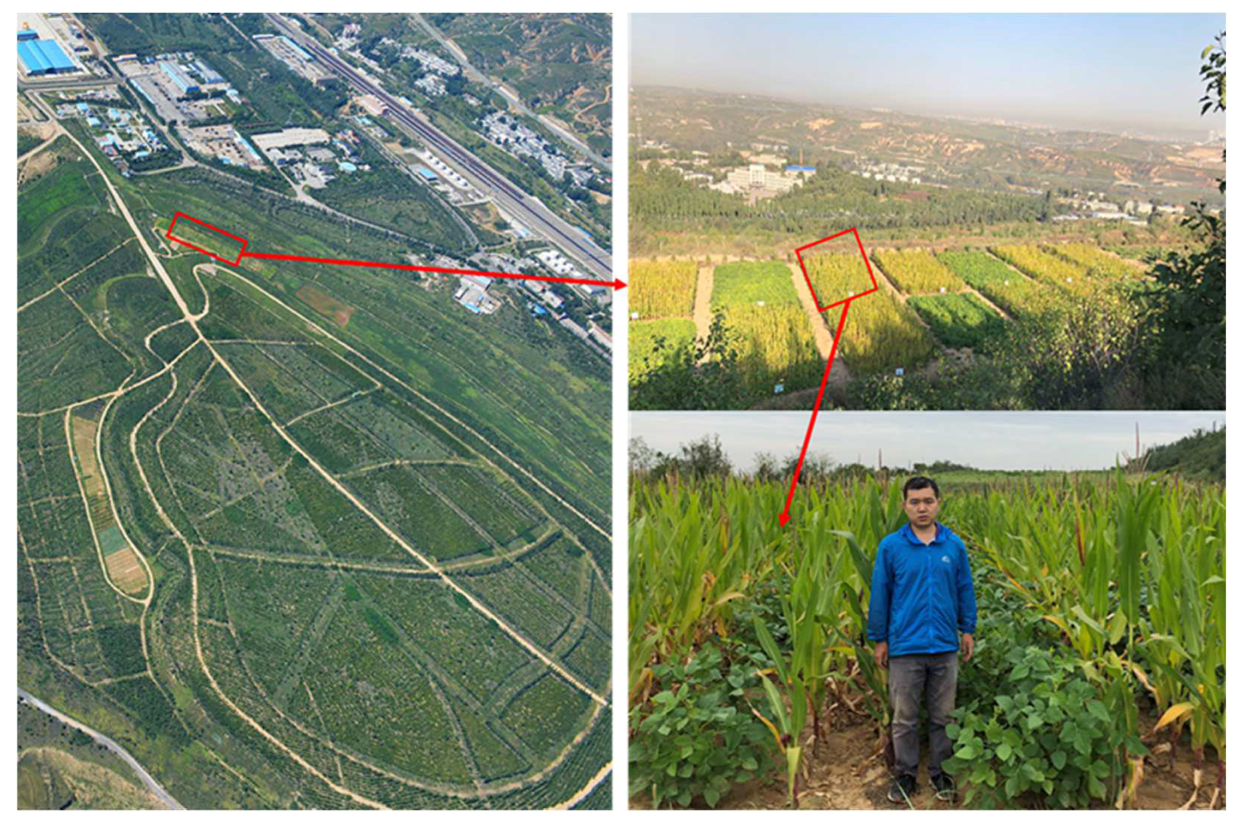 Ijerph 19 17058 g001