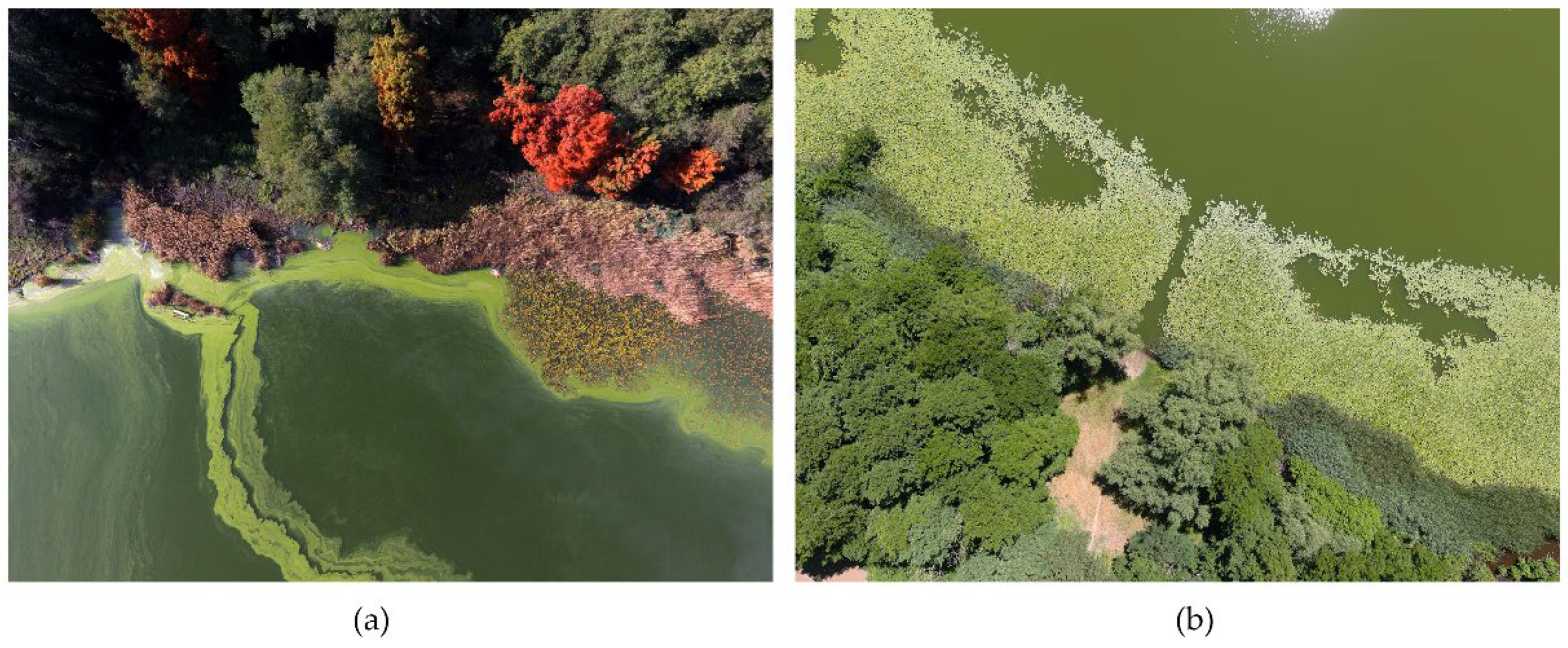 Ijerph 20 00005 g009 Ijerph 20 00005 g009