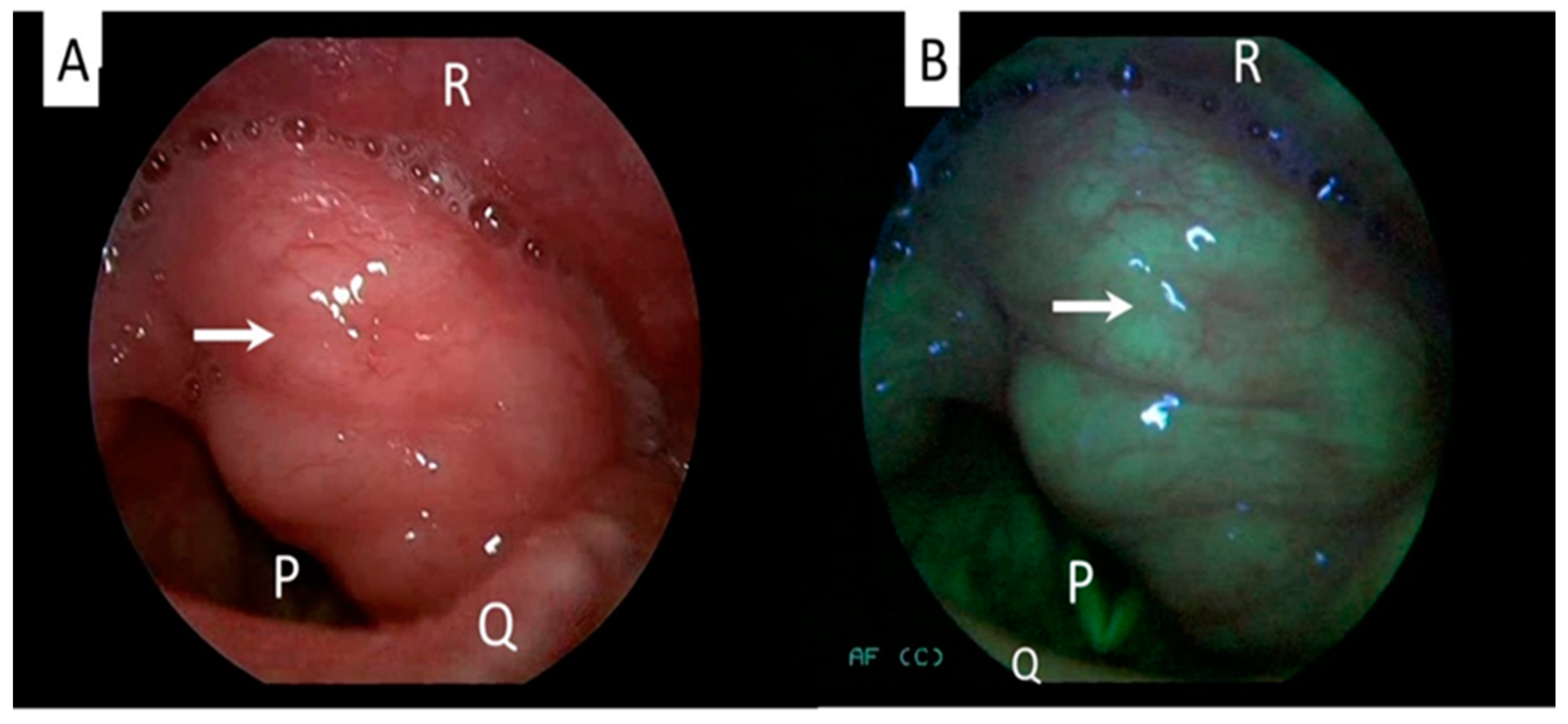 Ijerph 20 00159 g002 Ijerph 20 00159 g002