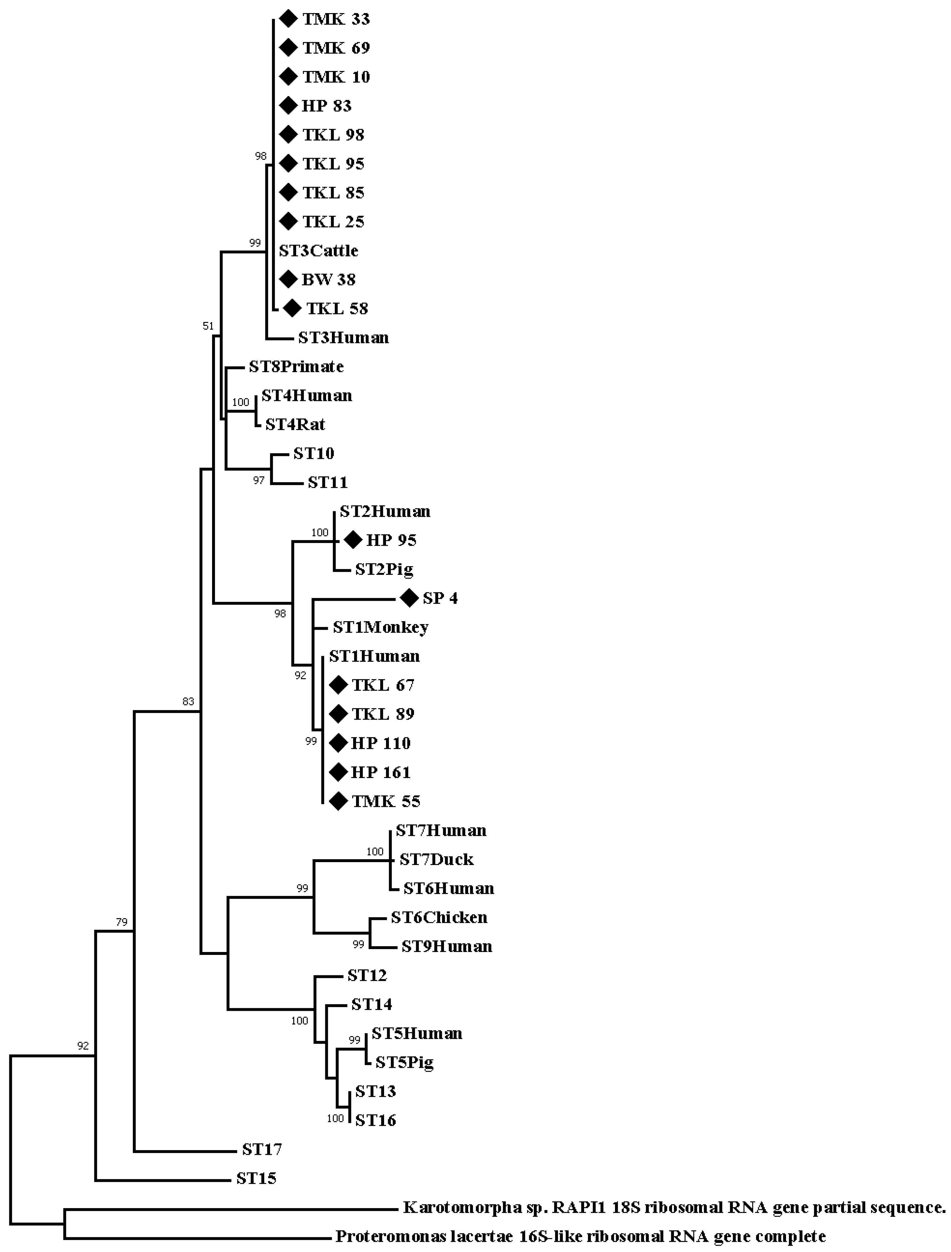 Ijerph 20 00204 g002 Ijerph 20 00204 g002