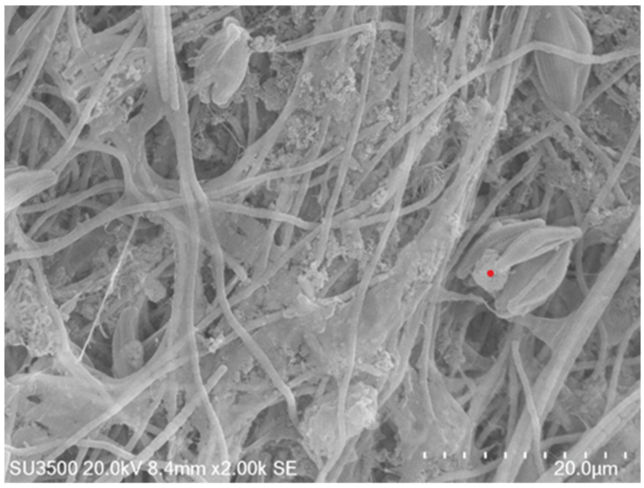 Ijerph Free Full Text Direct Air Capture Of Co2 Through Carbonate Alkalinity Generated By 