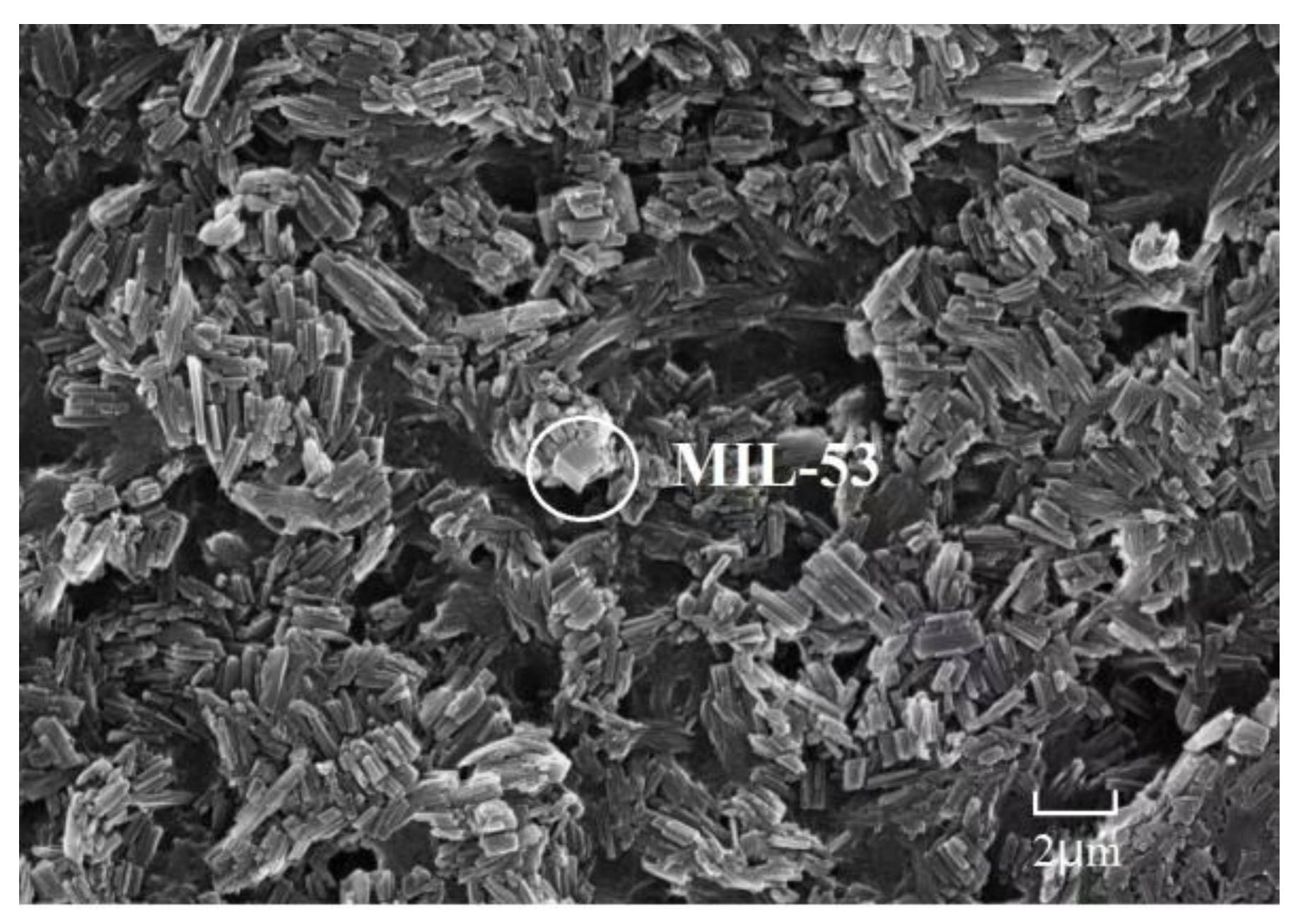 Ijerph 20 00715 g004