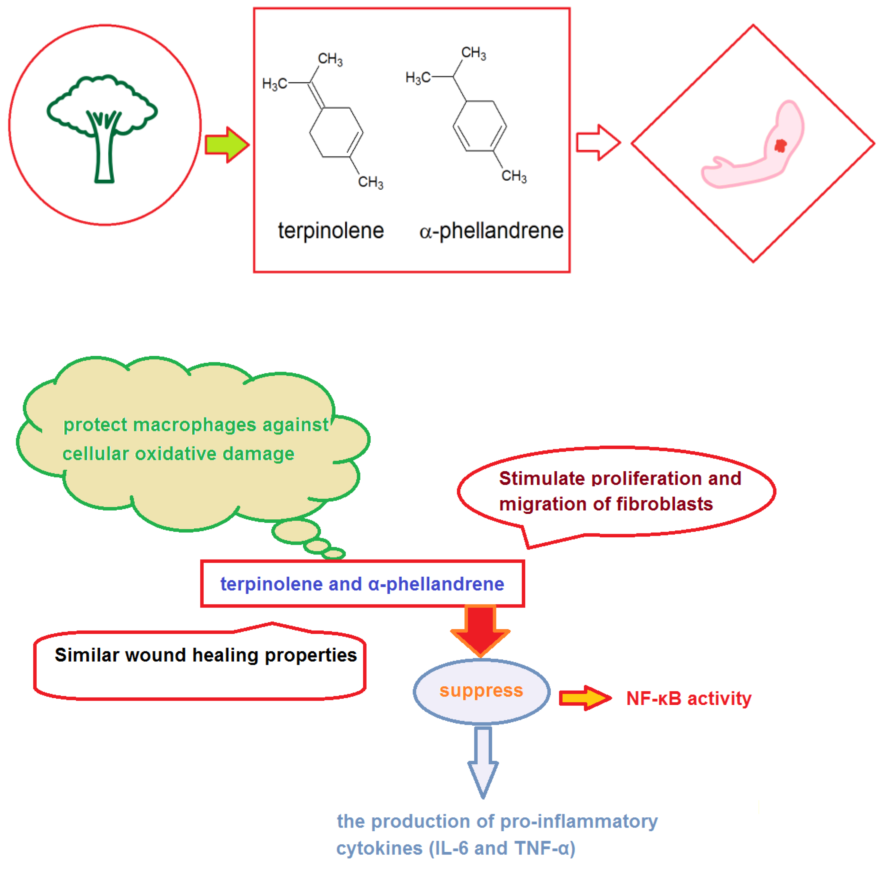 Ijerph 20 00793 g002 Ijerph 20 00793 g002