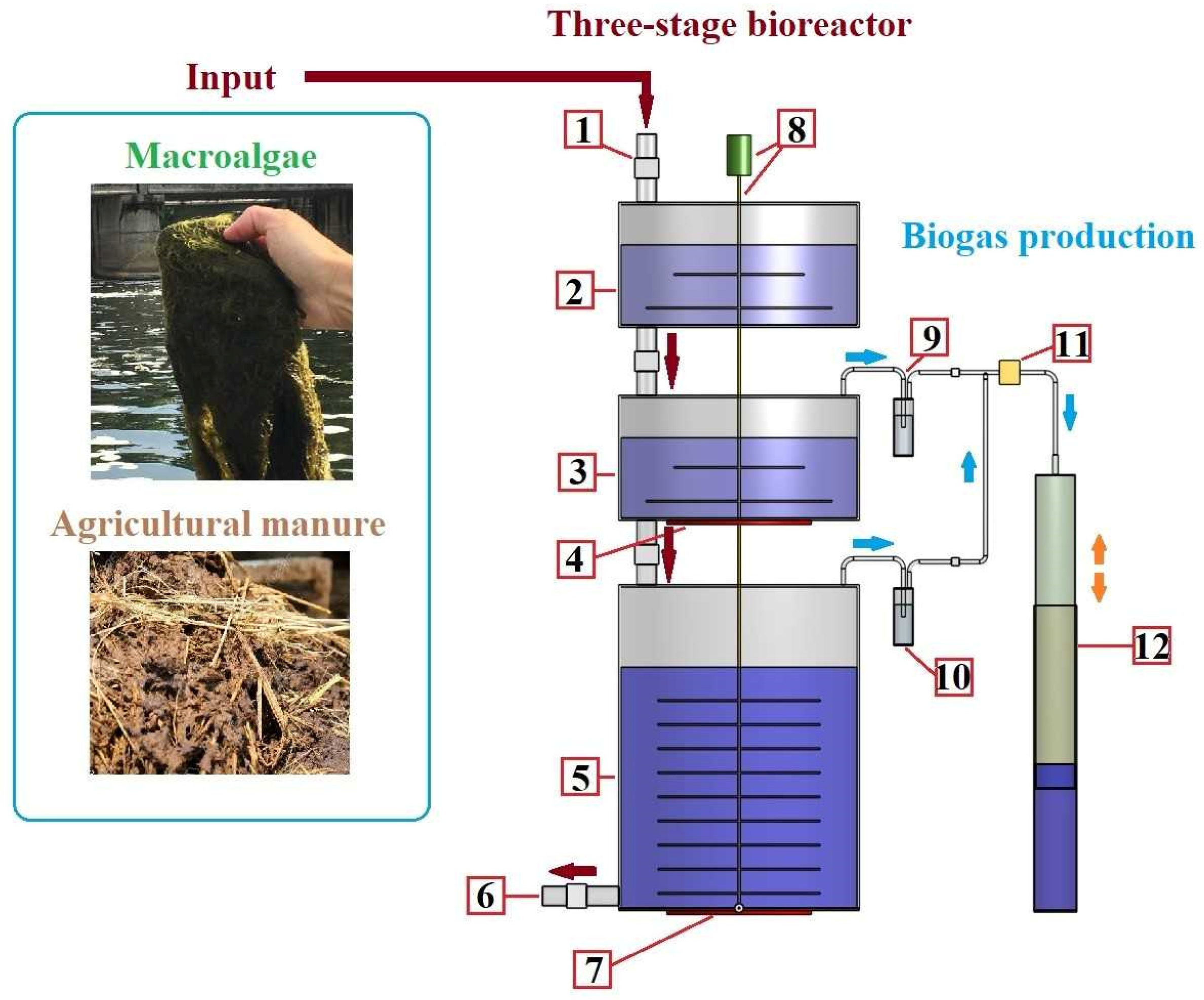 thesis on biogas production