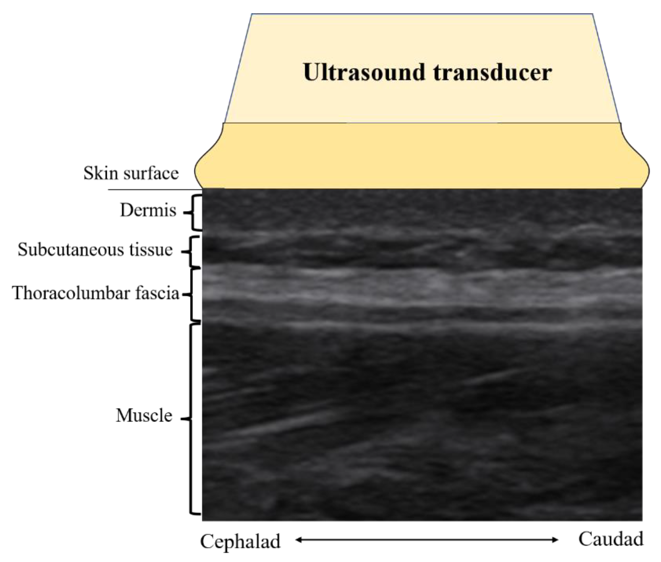 Ijerph 20 01073 g002 Ijerph 20 01073 g002