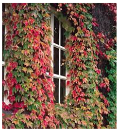 Ijerph 20 01198 i002