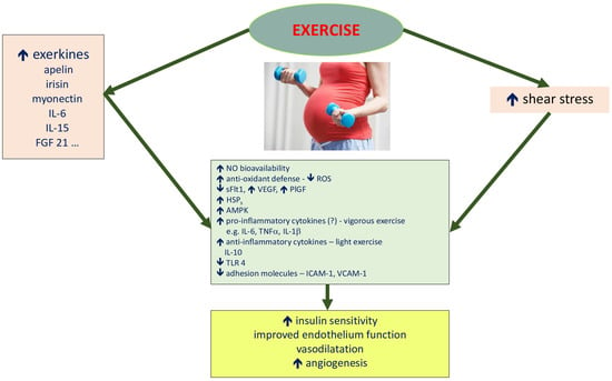 Impact of physical activity on course and outcome of pregnancy from pre- to  postnatal