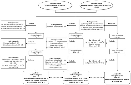 Longitudinal uric acid has nonlinear association with kidney