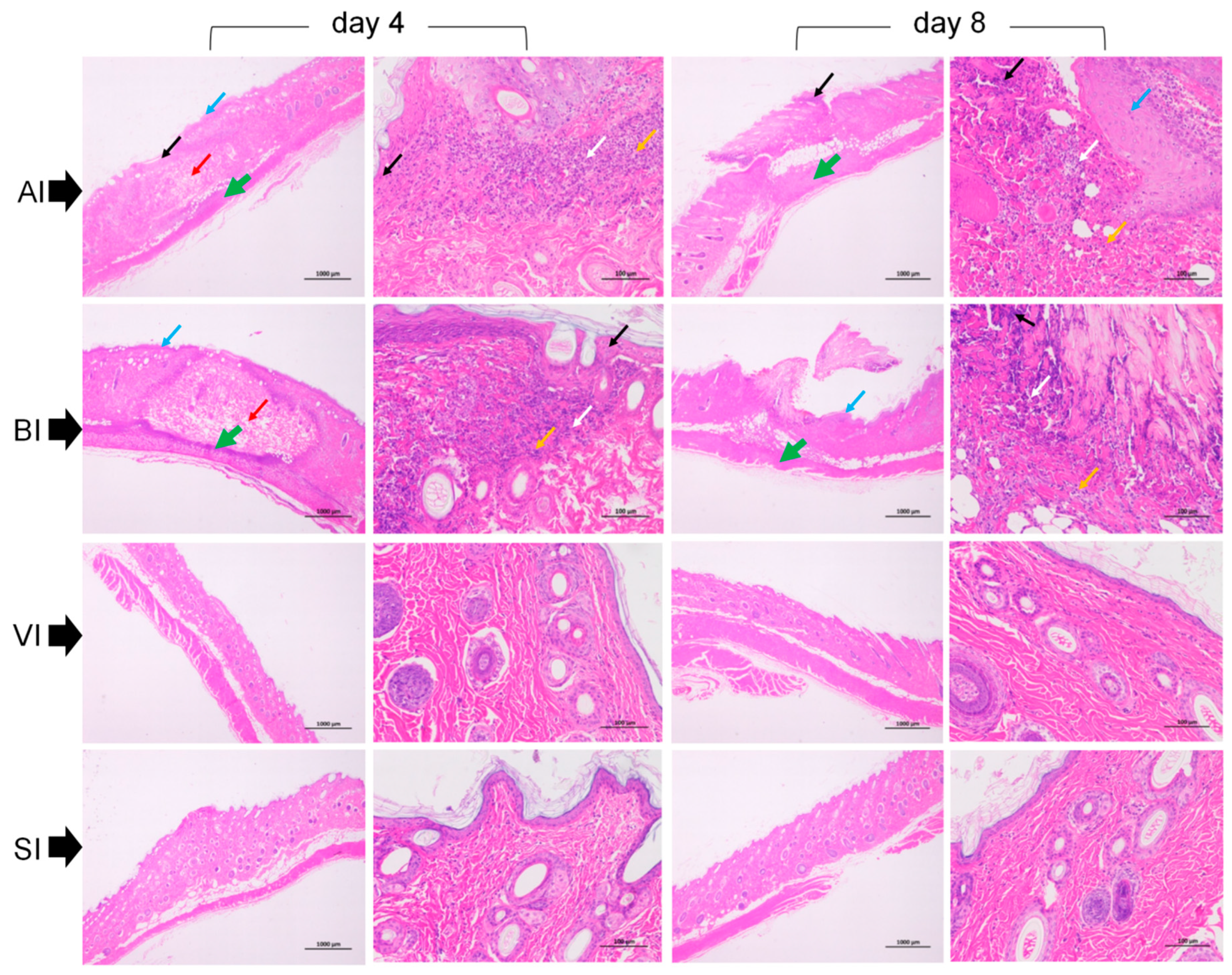 Ijerph 20 01904 g005 Ijerph 20 01904 g005