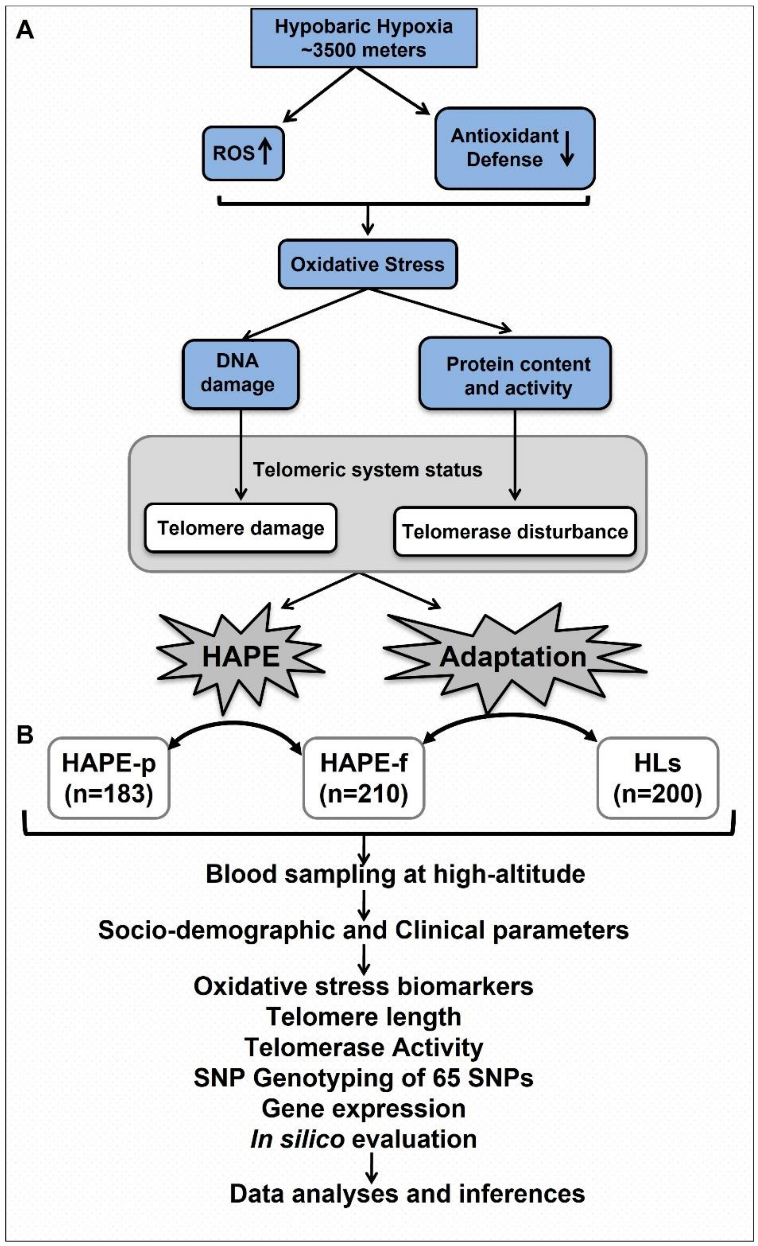 Ijerph 20 01935 g001 Ijerph 20 01935 g001