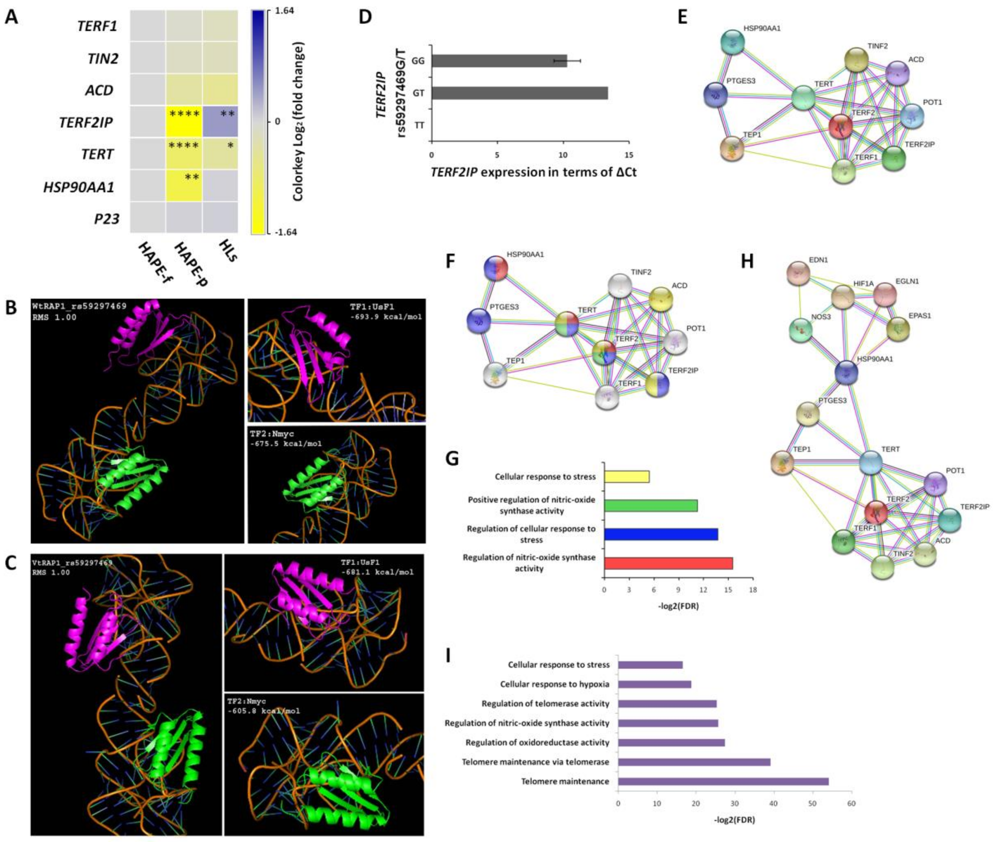Ijerph 20 01935 g004 Ijerph 20 01935 g004