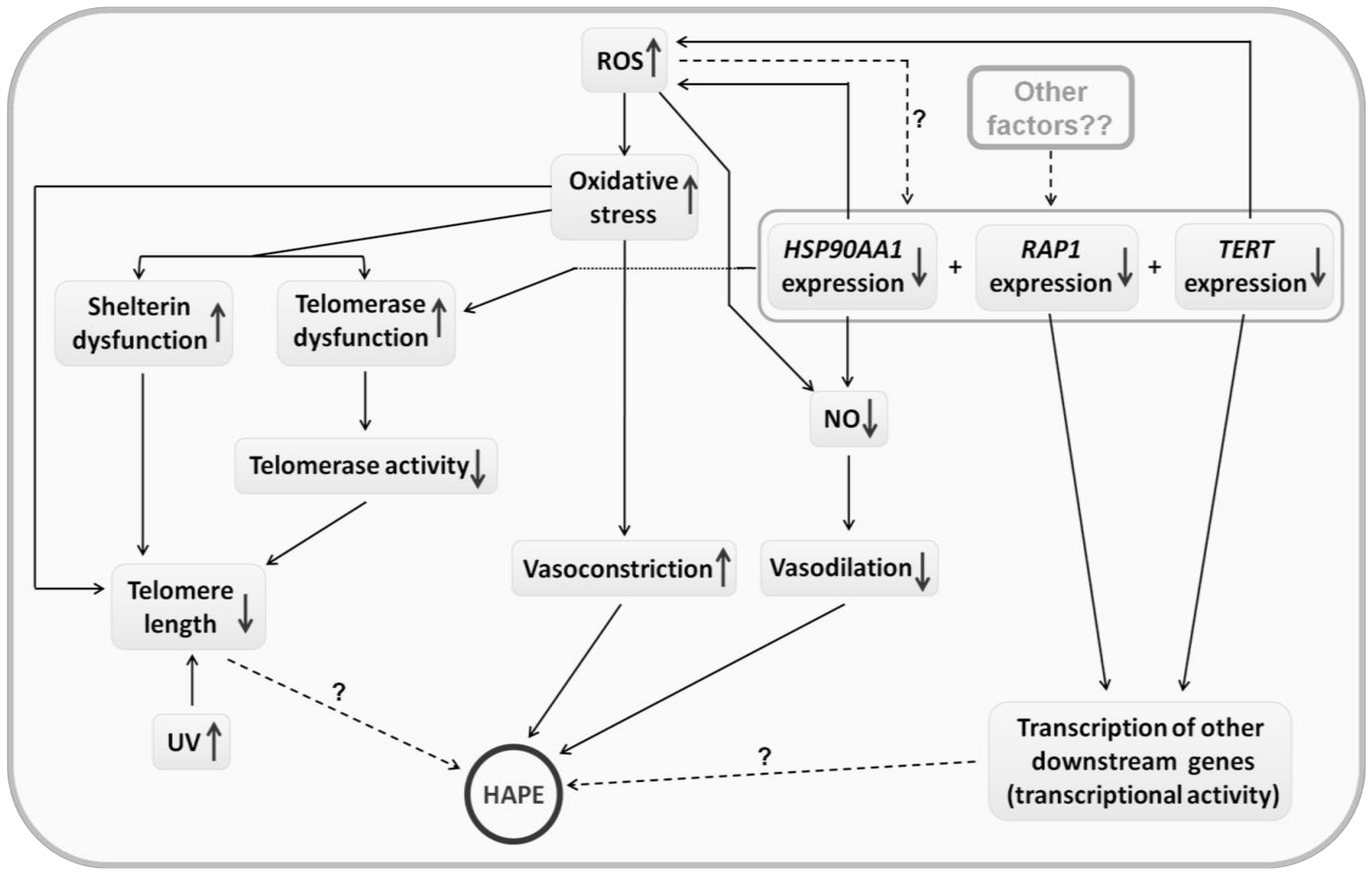 Ijerph 20 01935 g005 Ijerph 20 01935 g005