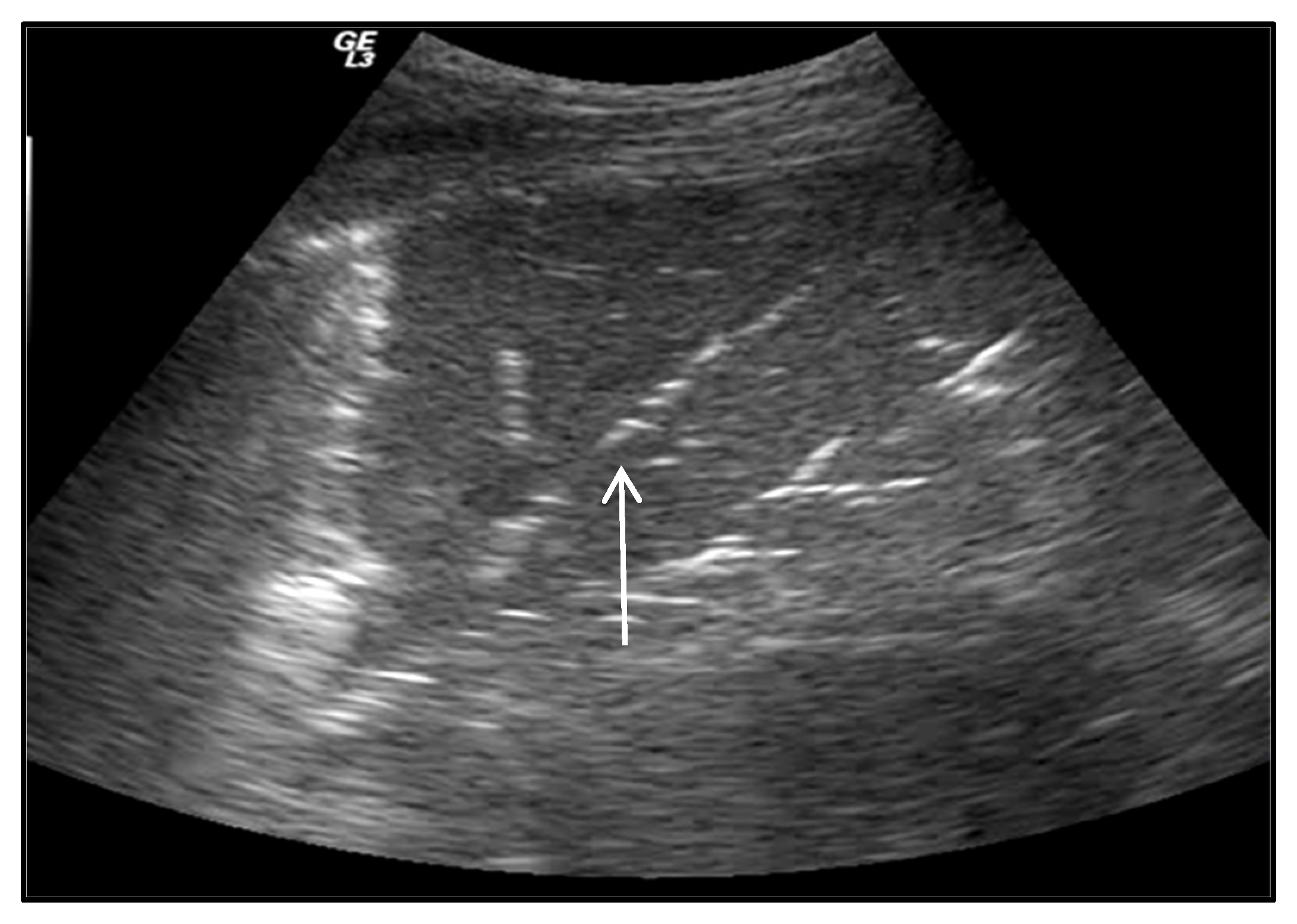 Ijerph 20 02088 g005 Ijerph 20 02088 g005