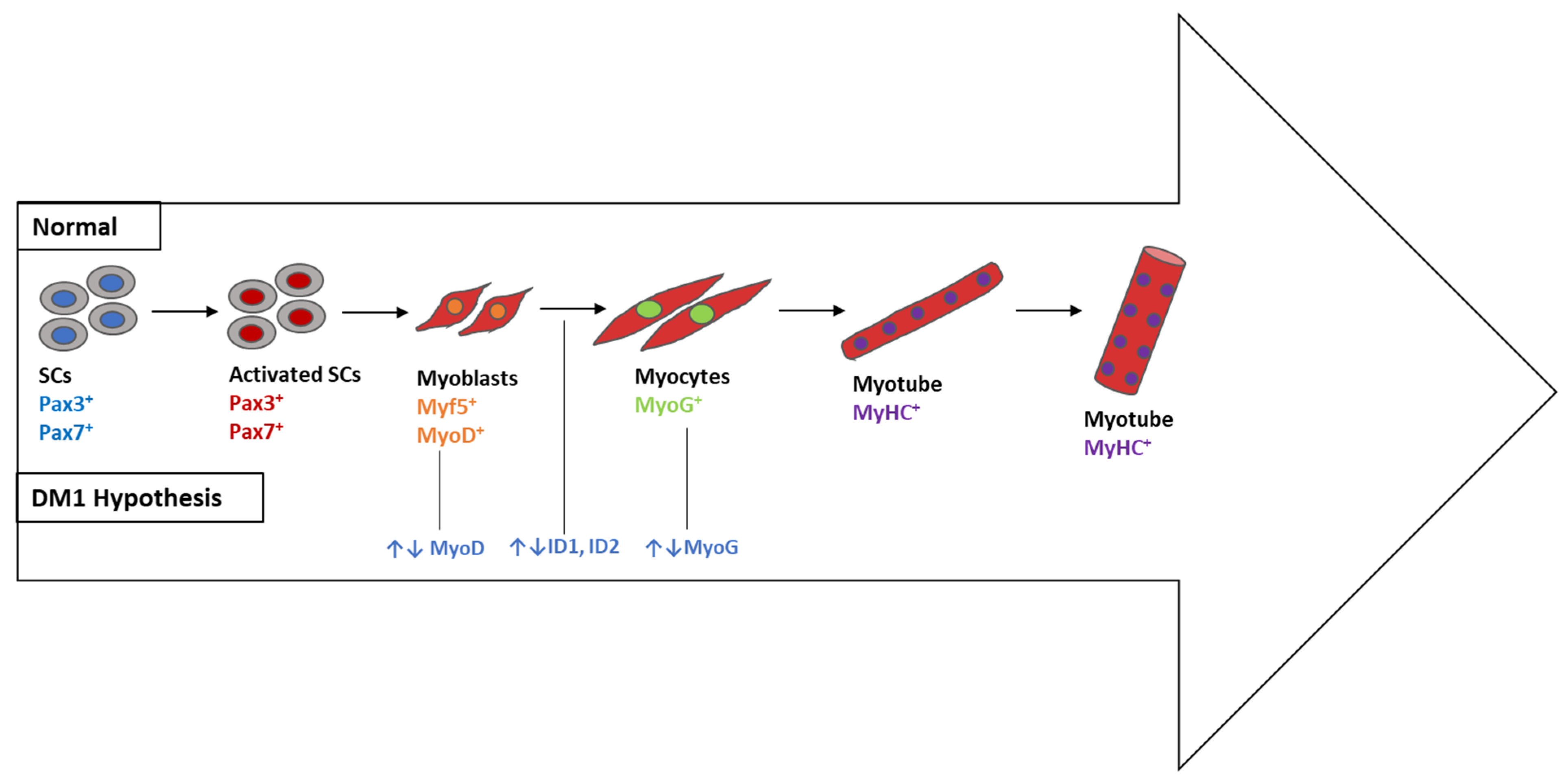 Ijerph 20 02283 g008