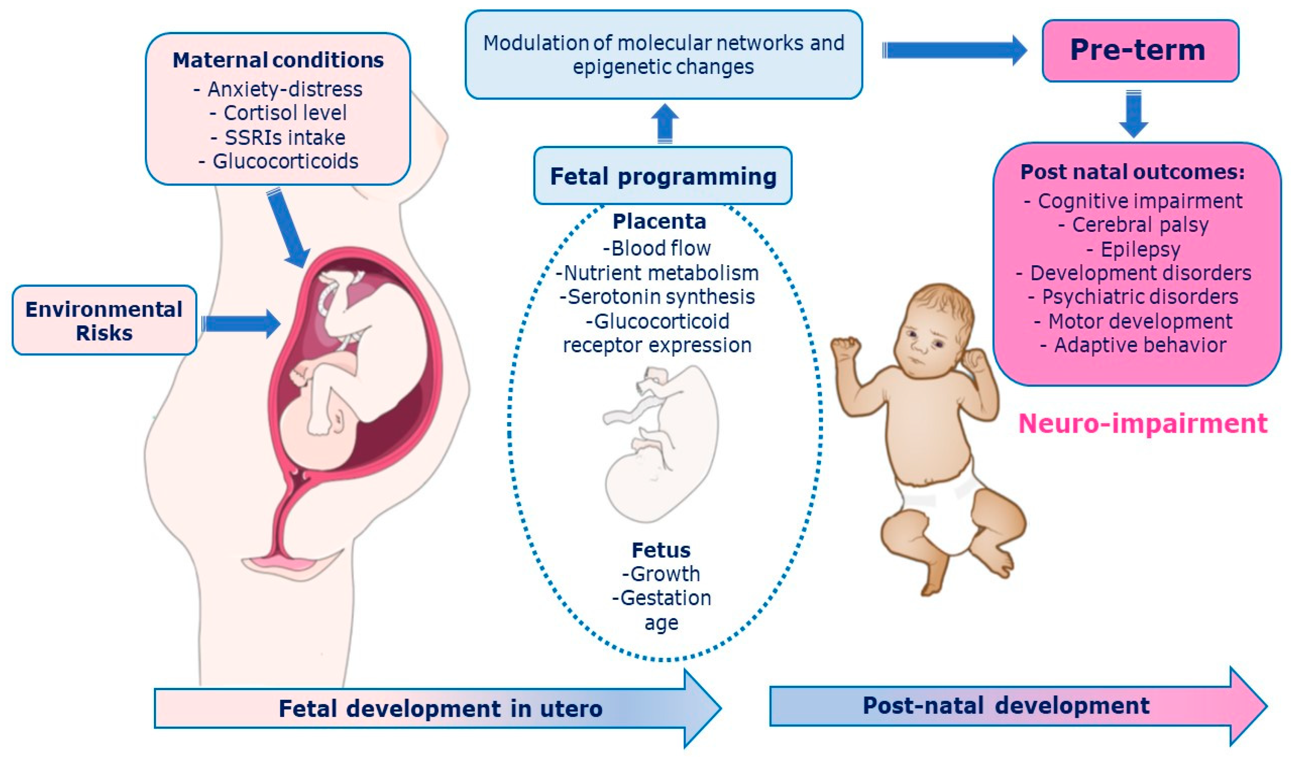IJERPH | Free Full-Text | Effect of Musical Stimulation on Placental  Programming and Neurodevelopment Outcome of Preterm Infants: A Systematic  Review