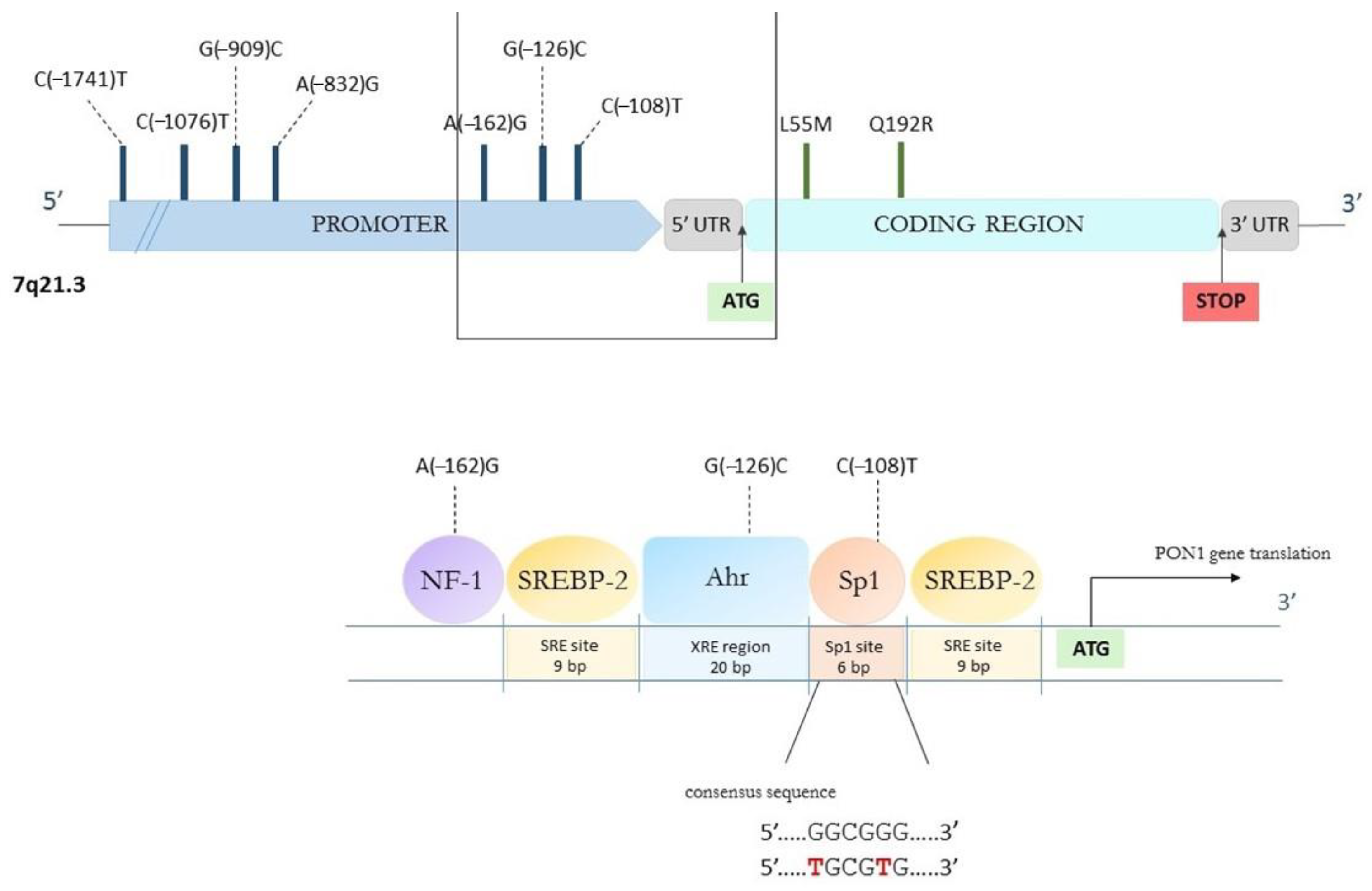 Ijerph 20 02813 g003