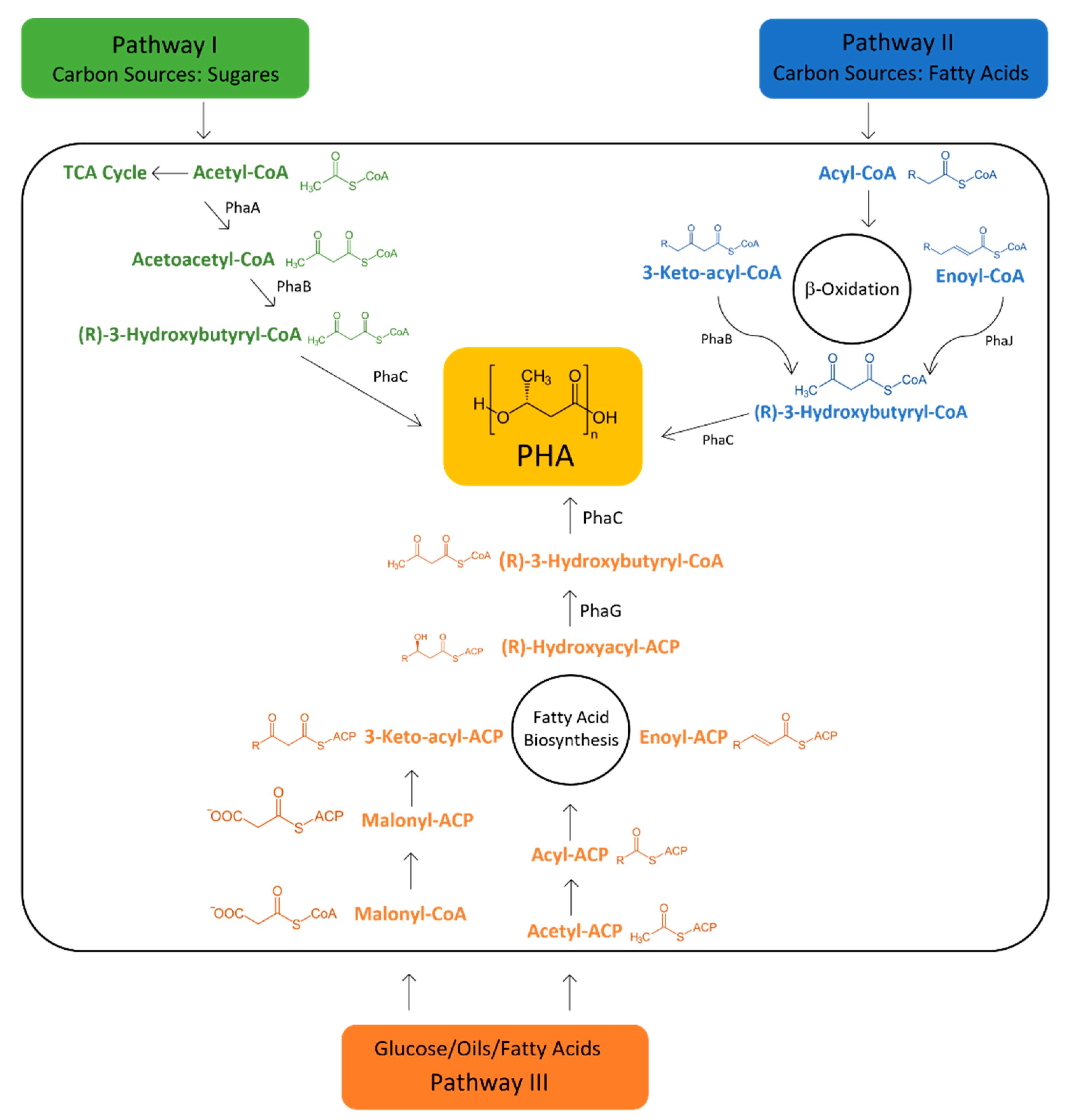 Ijerph 20 02959 g003 Ijerph 20 02959 g003