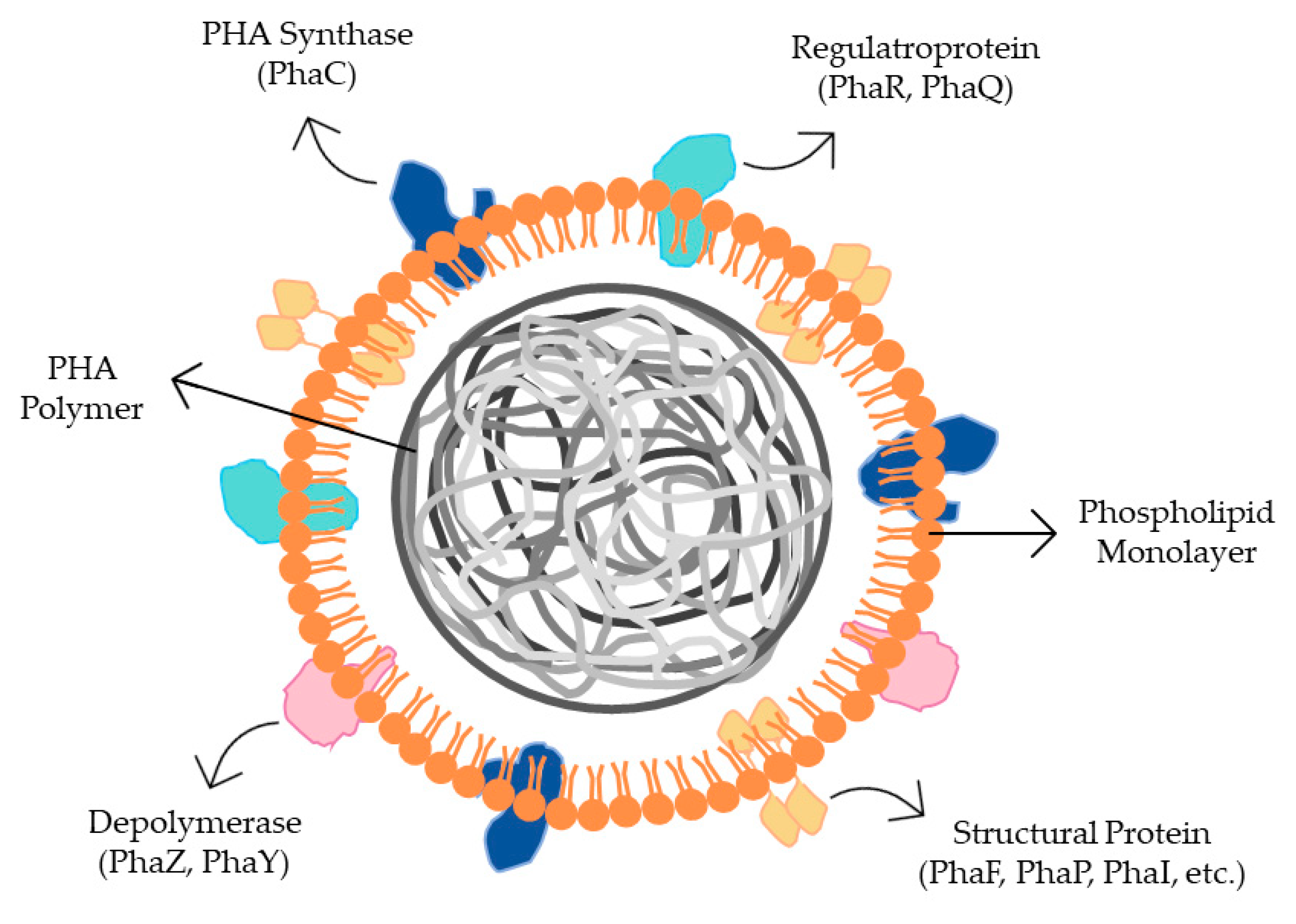 Ijerph 20 02959 g004 Ijerph 20 02959 g004
