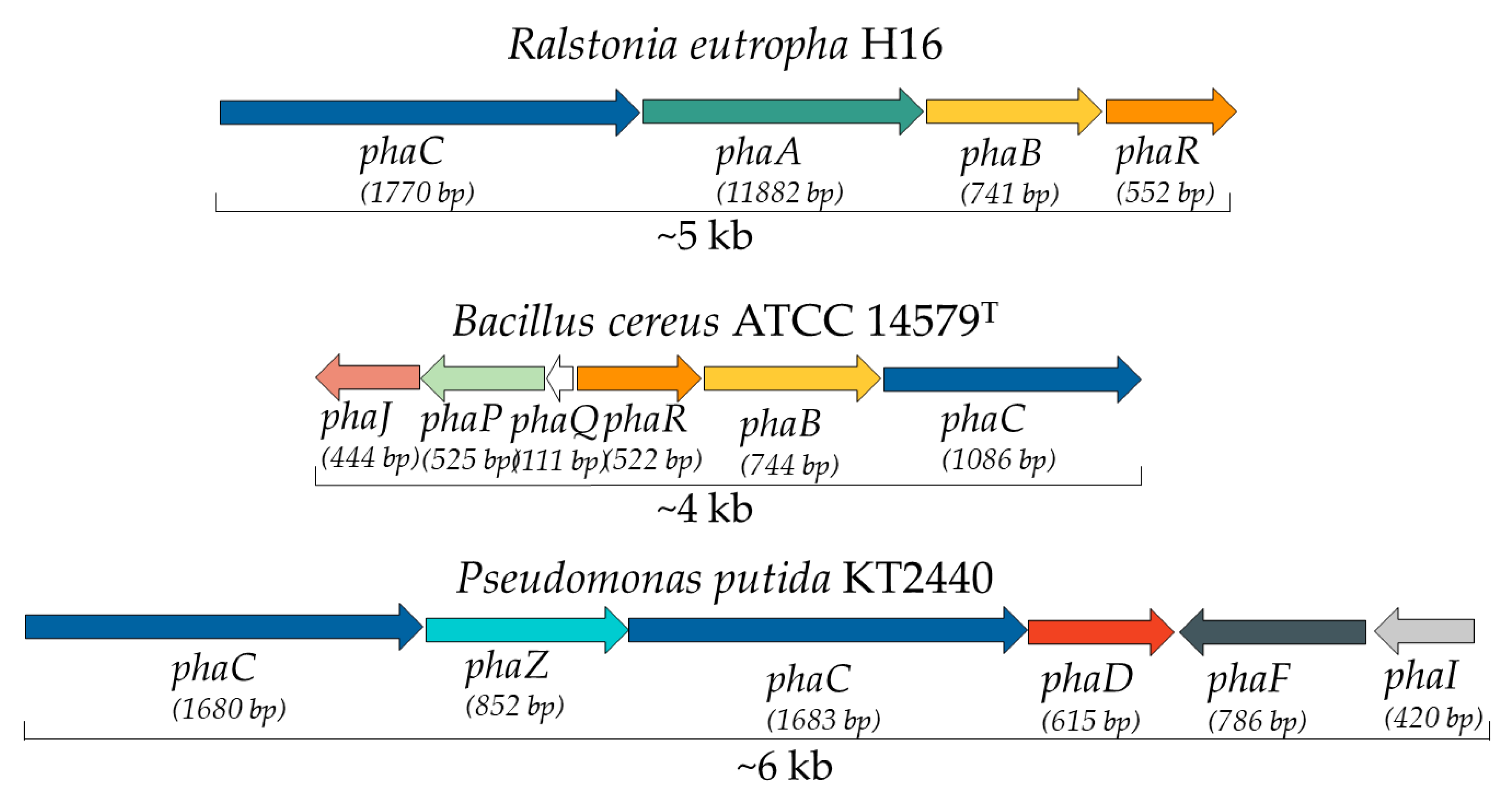 Ijerph 20 02959 g005 Ijerph 20 02959 g005