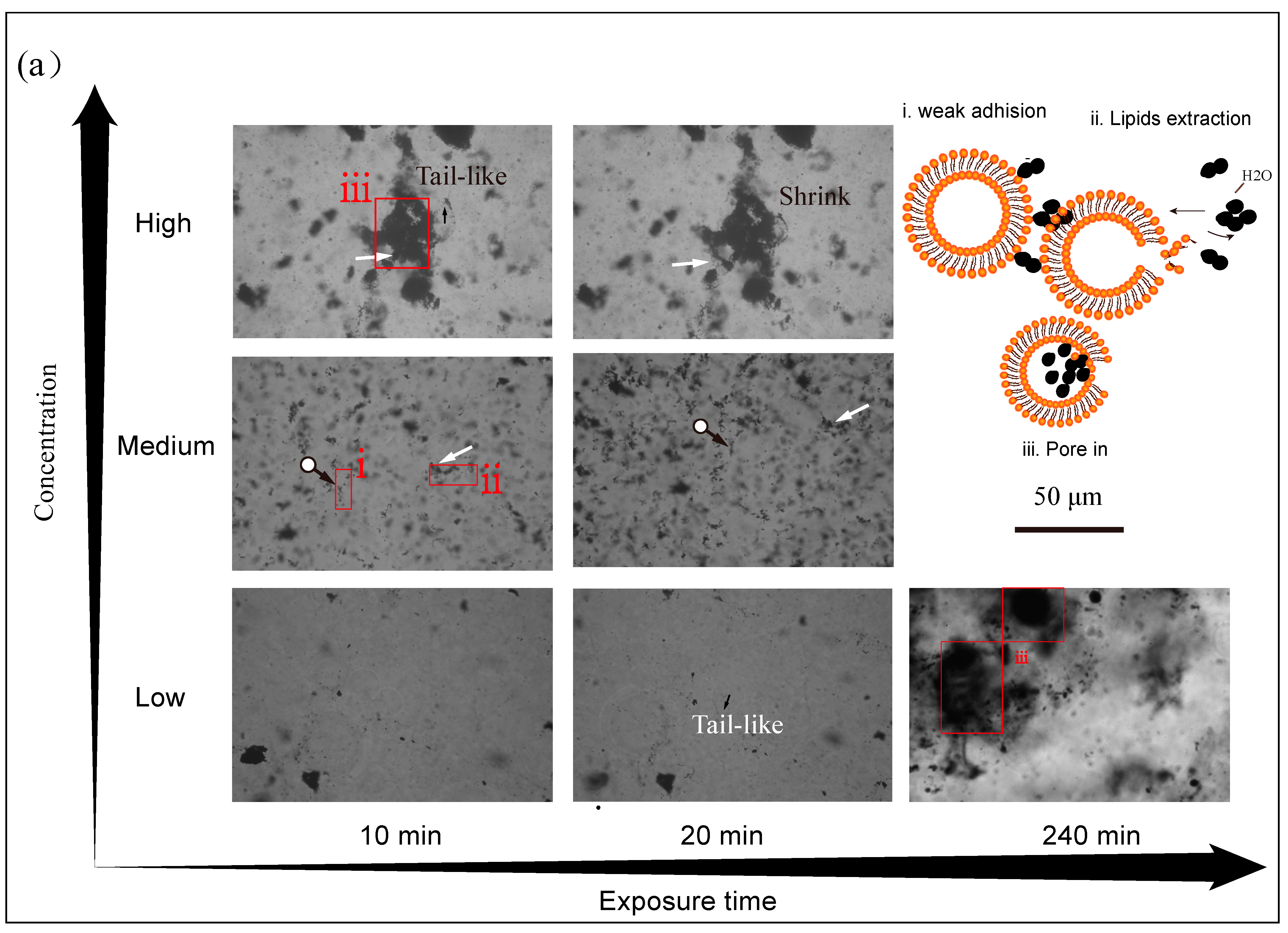 Ijerph 20 02999 g005a