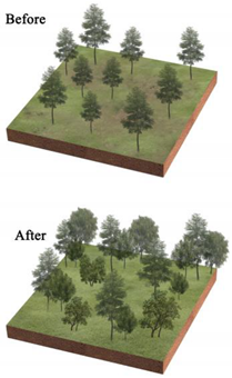 Ijerph 20 03155 i002