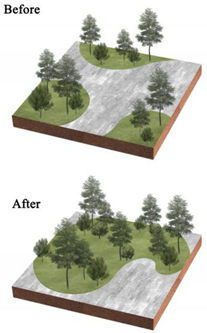 Ijerph 20 03155 i004